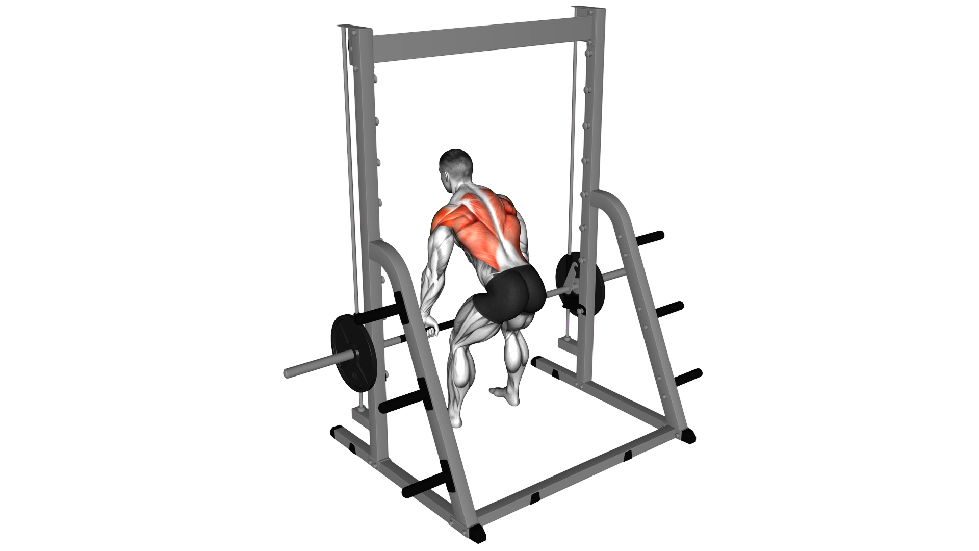 Smith Bent Over Row exercise demonstration