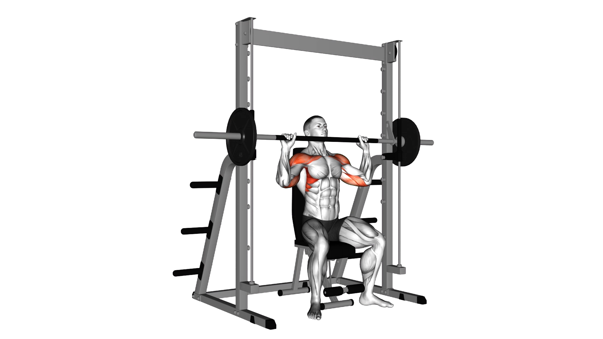 Smith Seated Shoulder Press exercise thumbnail