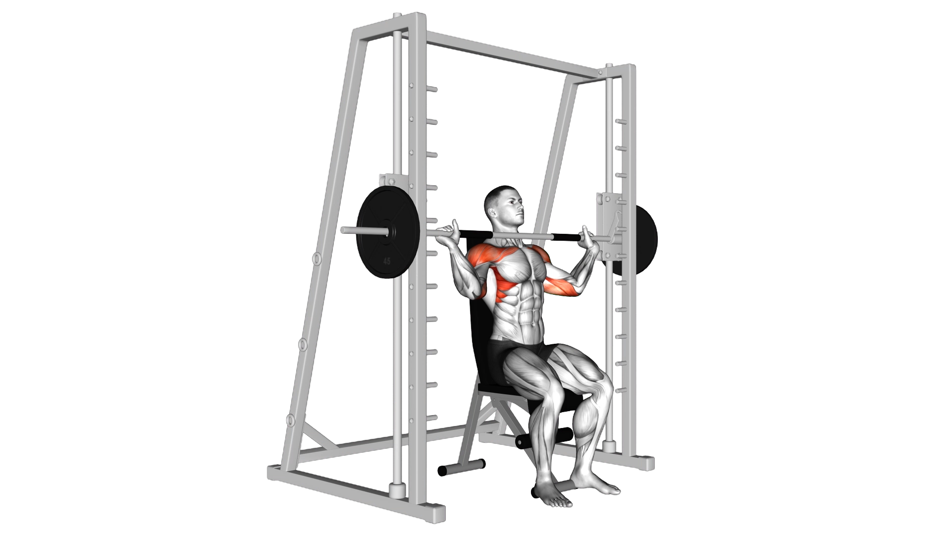 Smith Shoulder Press exercise thumbnail