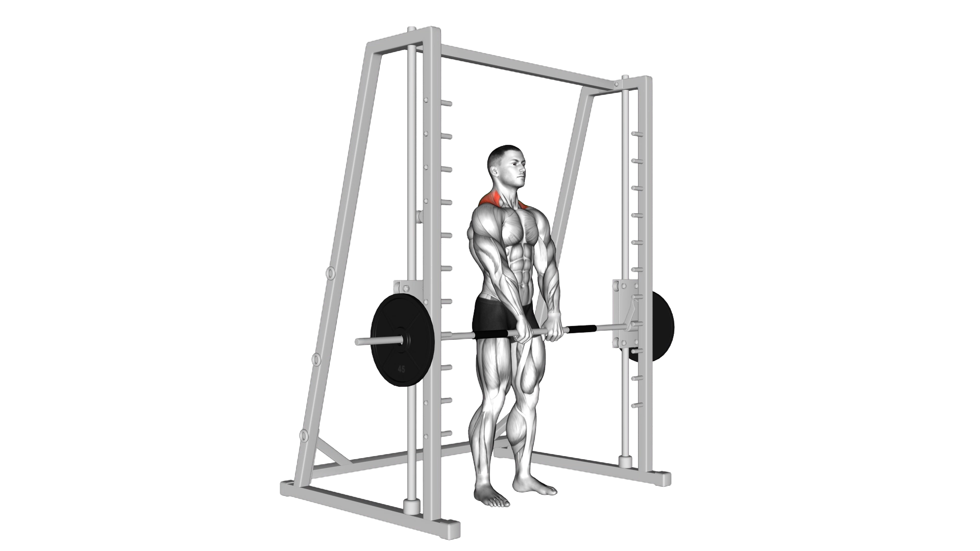 Smith Shrug exercise demonstration