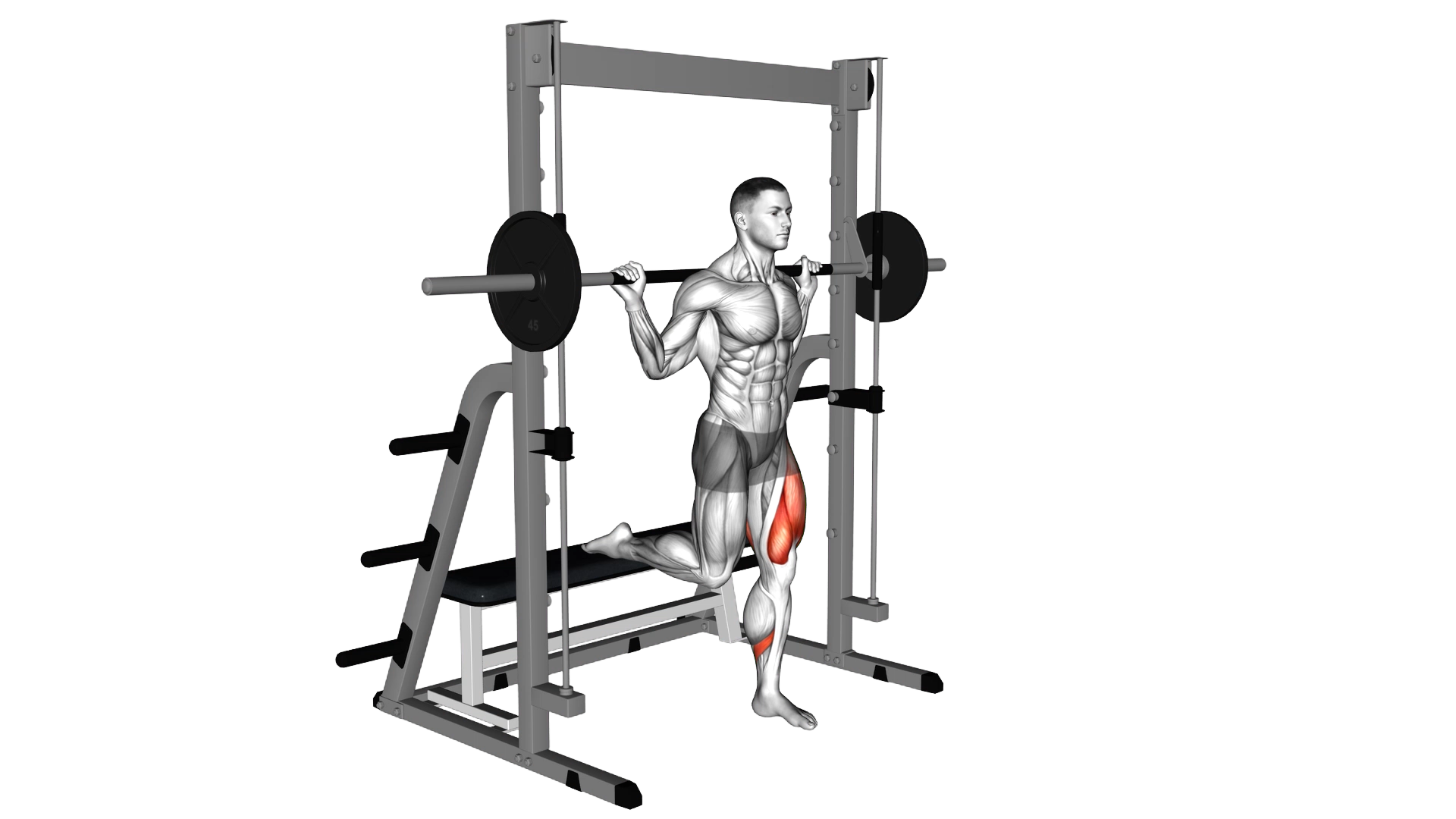 Smith Single Leg Split Squat exercise demonstration
