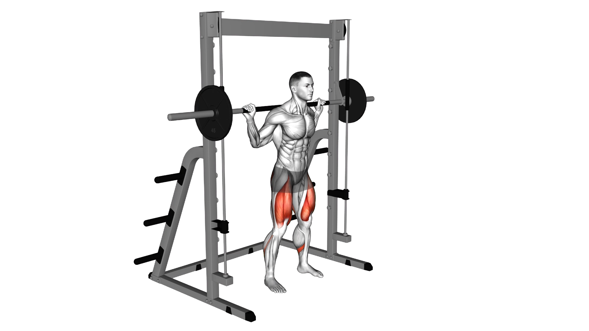 Smith Squat exercise demonstration