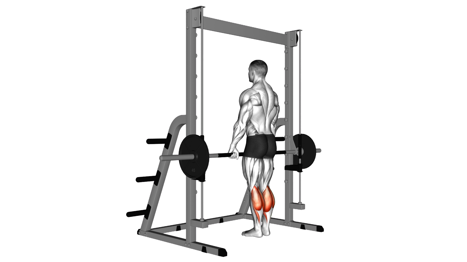 Smith Standing Leg Calf Raise exercise demonstration