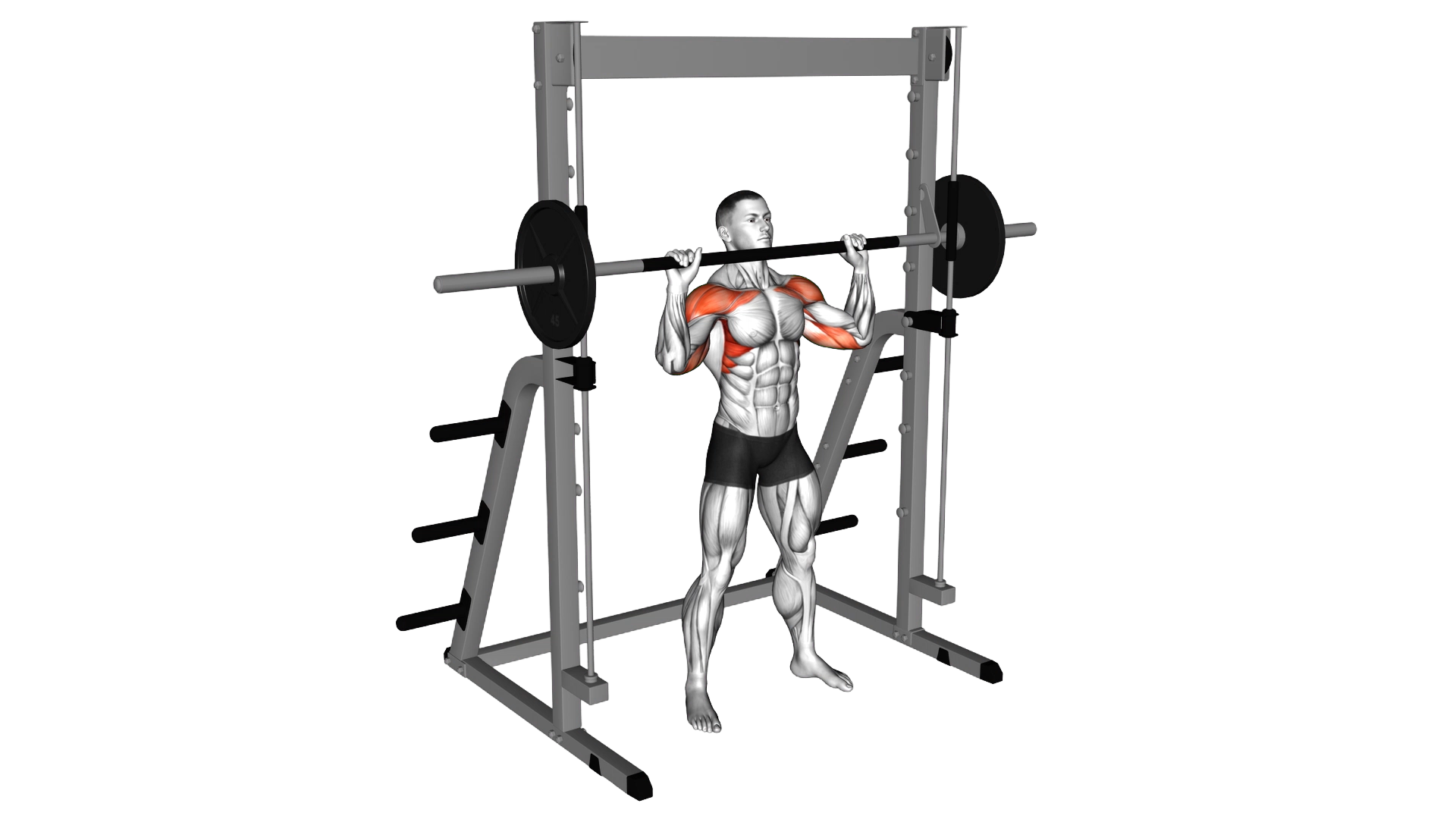 Smith Standing Military Press exercise thumbnail