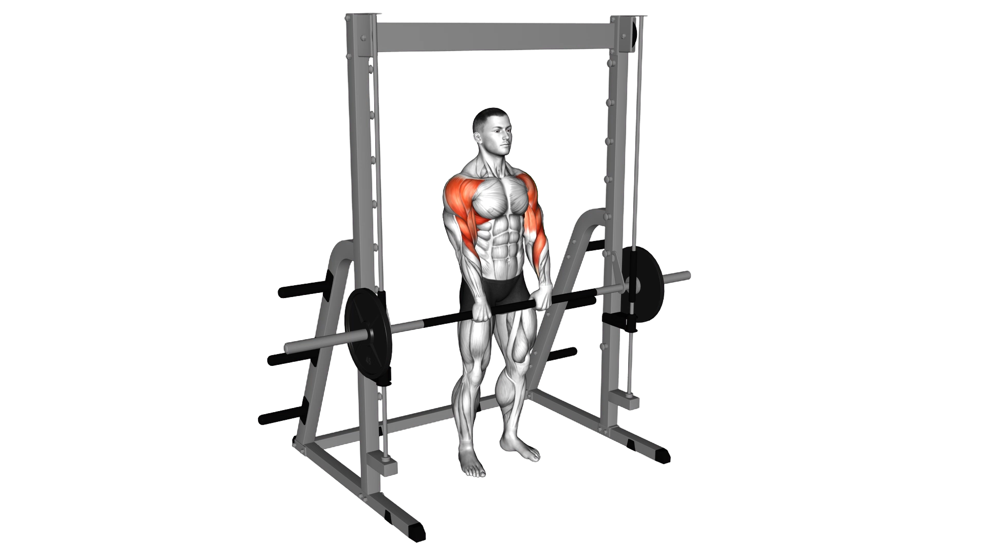 Smith Upright Row exercise demonstration