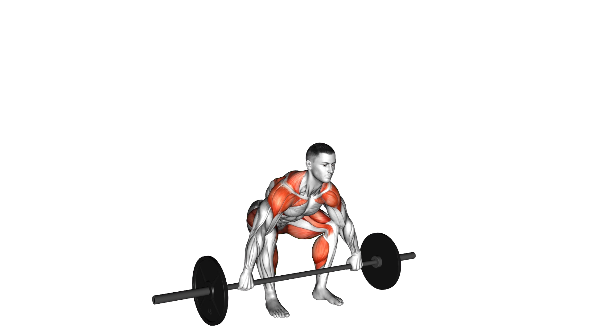 Snatch Pull exercise demonstration