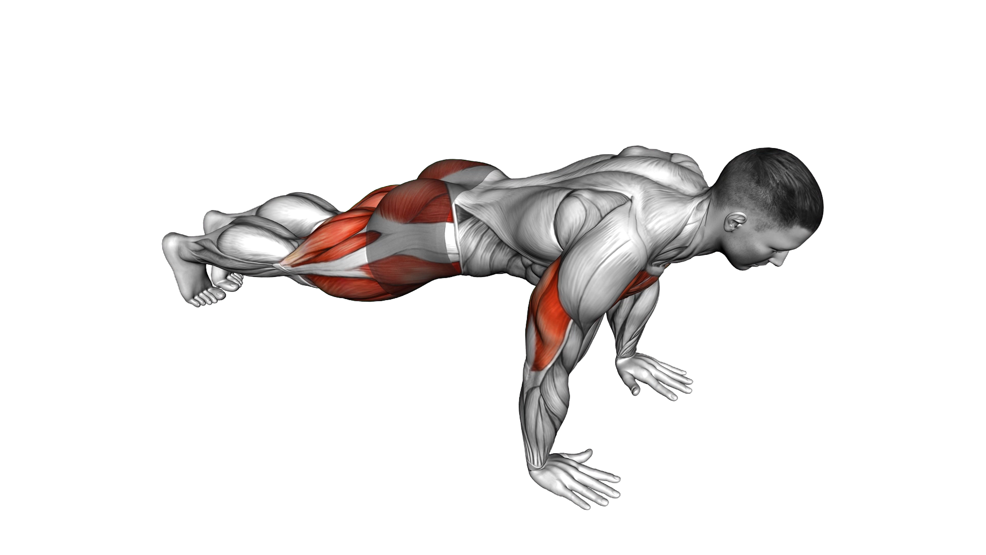 Spider Crawl Push up exercise demonstration