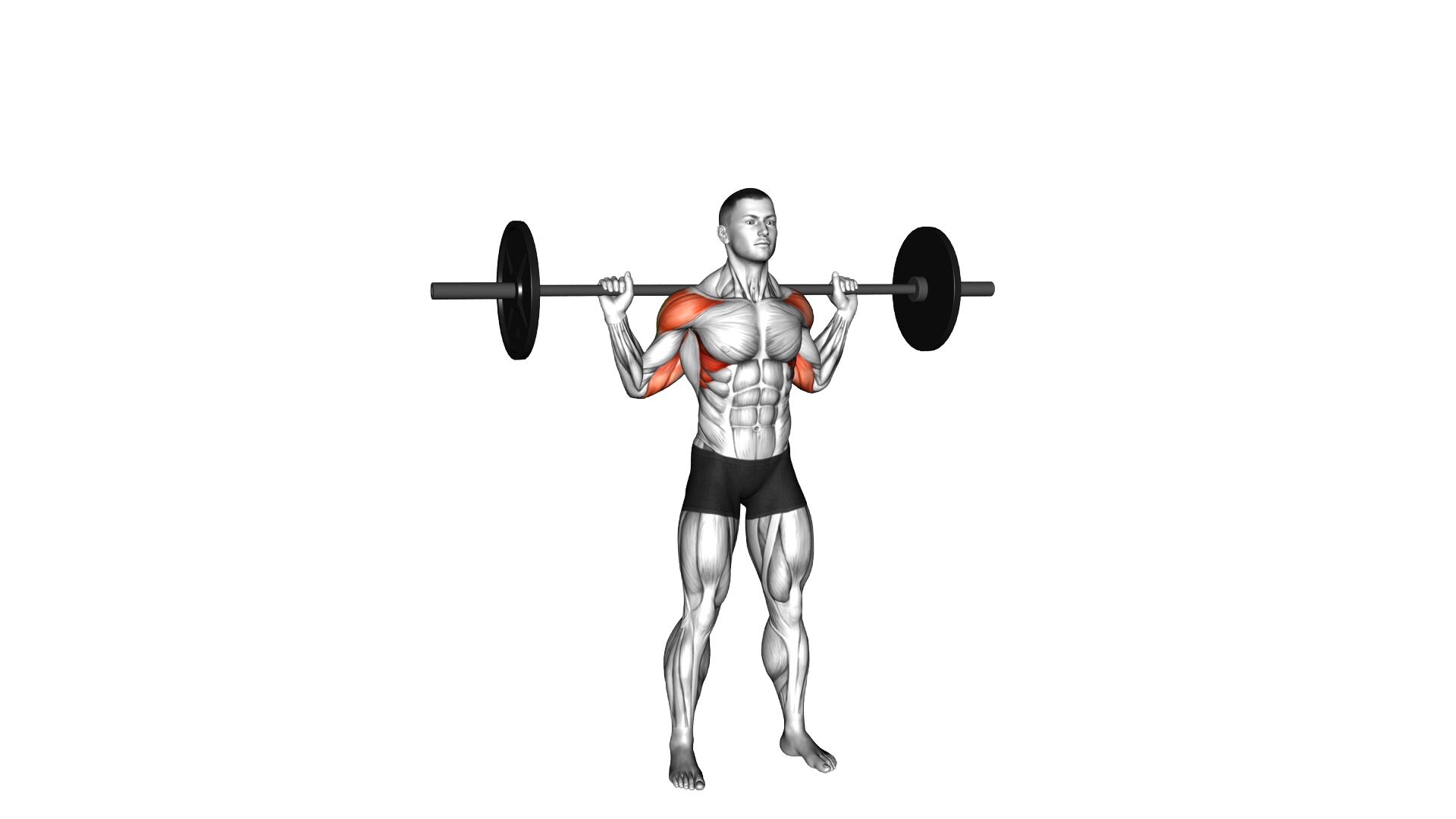 Standing Behind Neck Press exercise demonstration