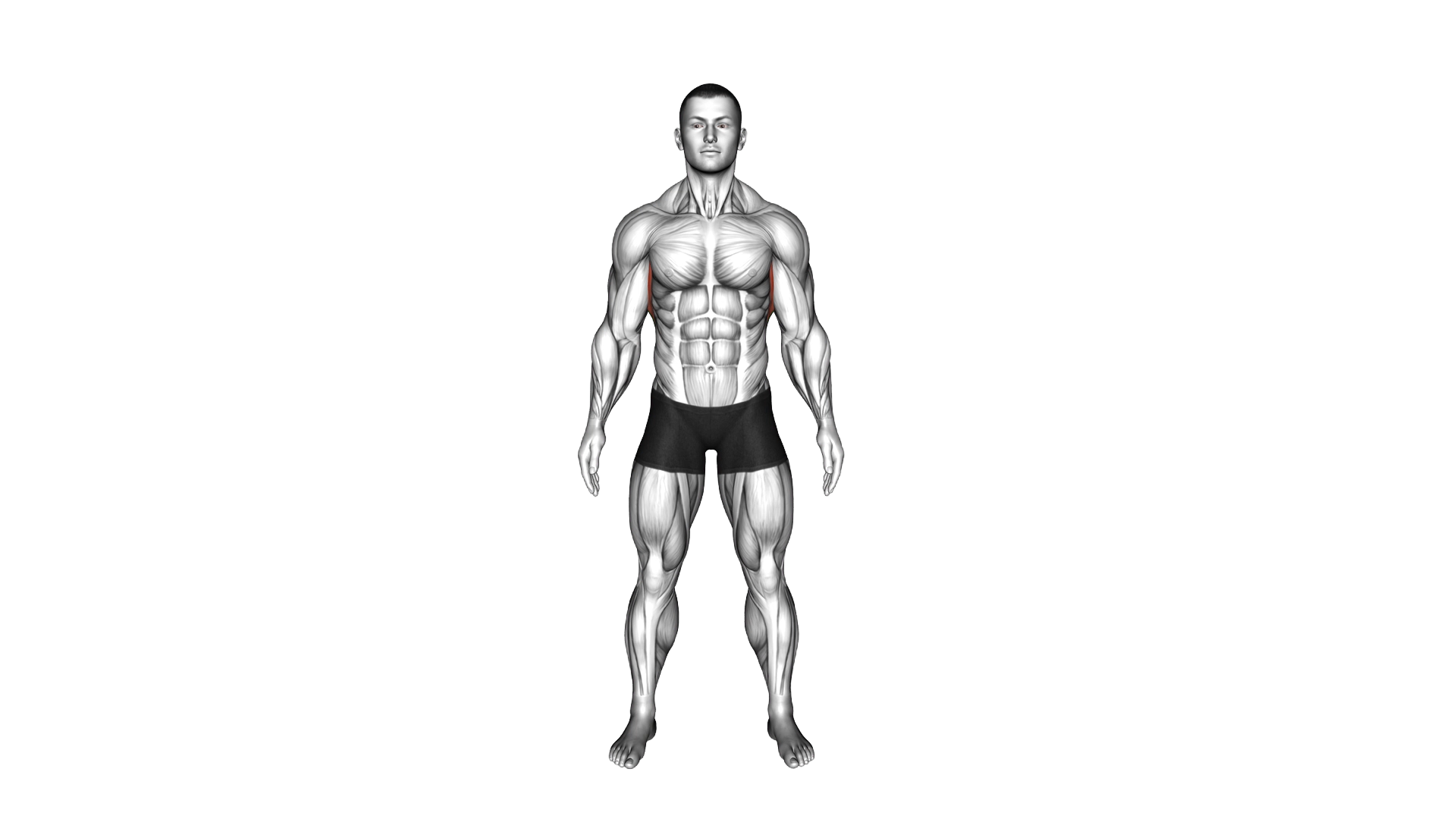 Standing Lateral Stretch exercise demonstration