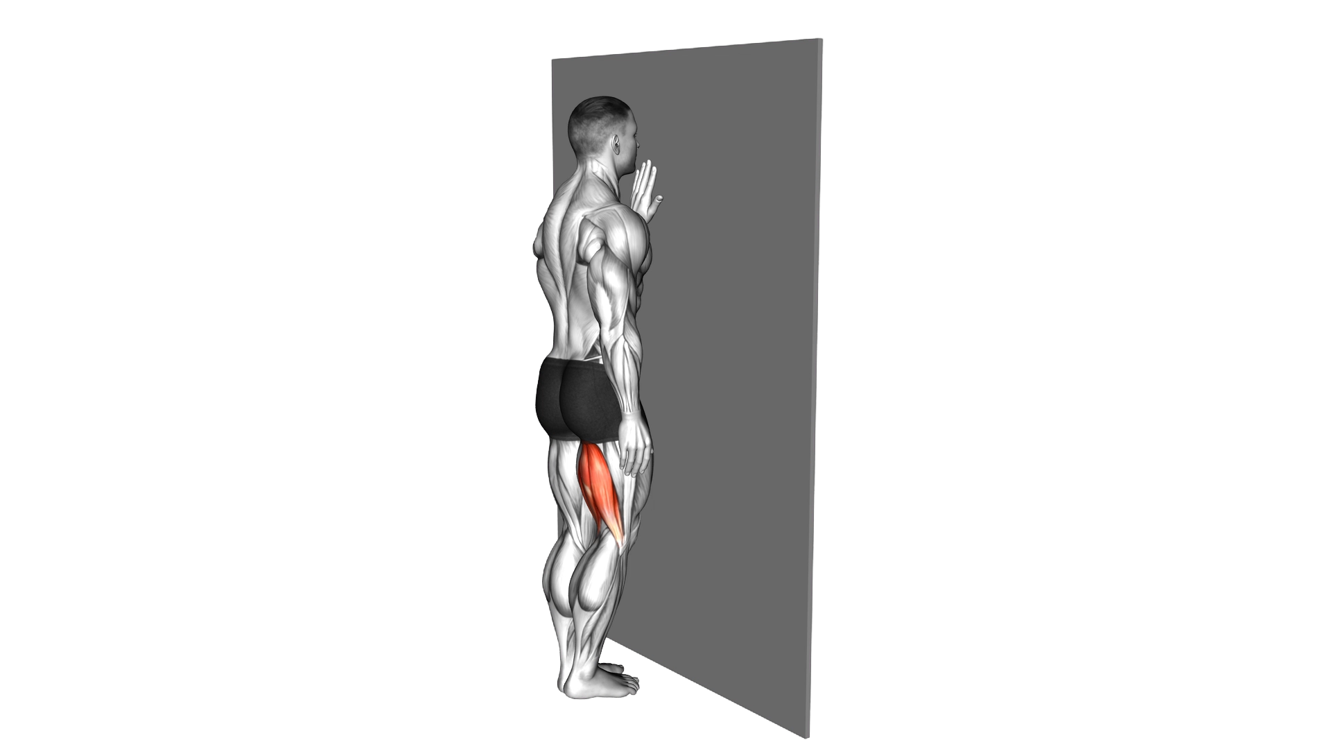 Standing Single Leg Curl exercise demonstration
