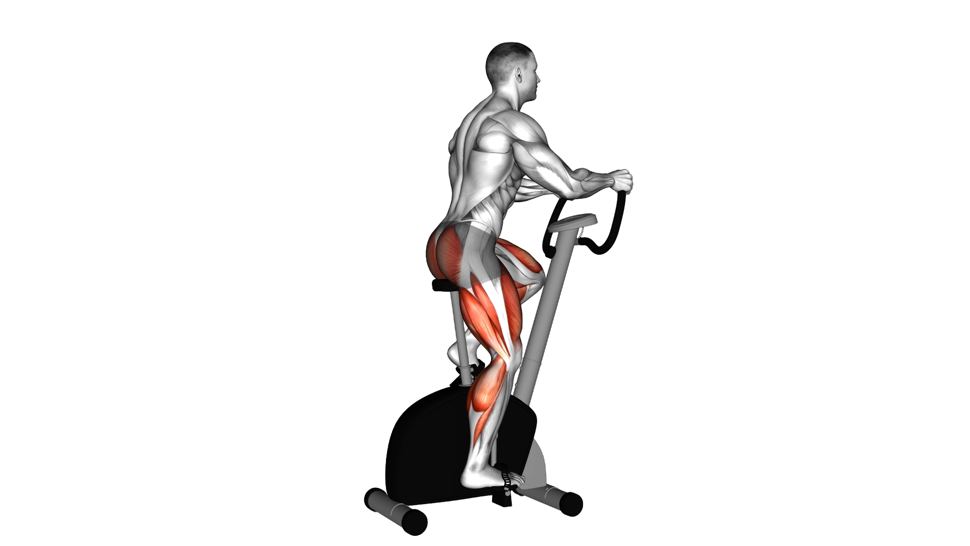Stationary Bike Walk exercise demonstration