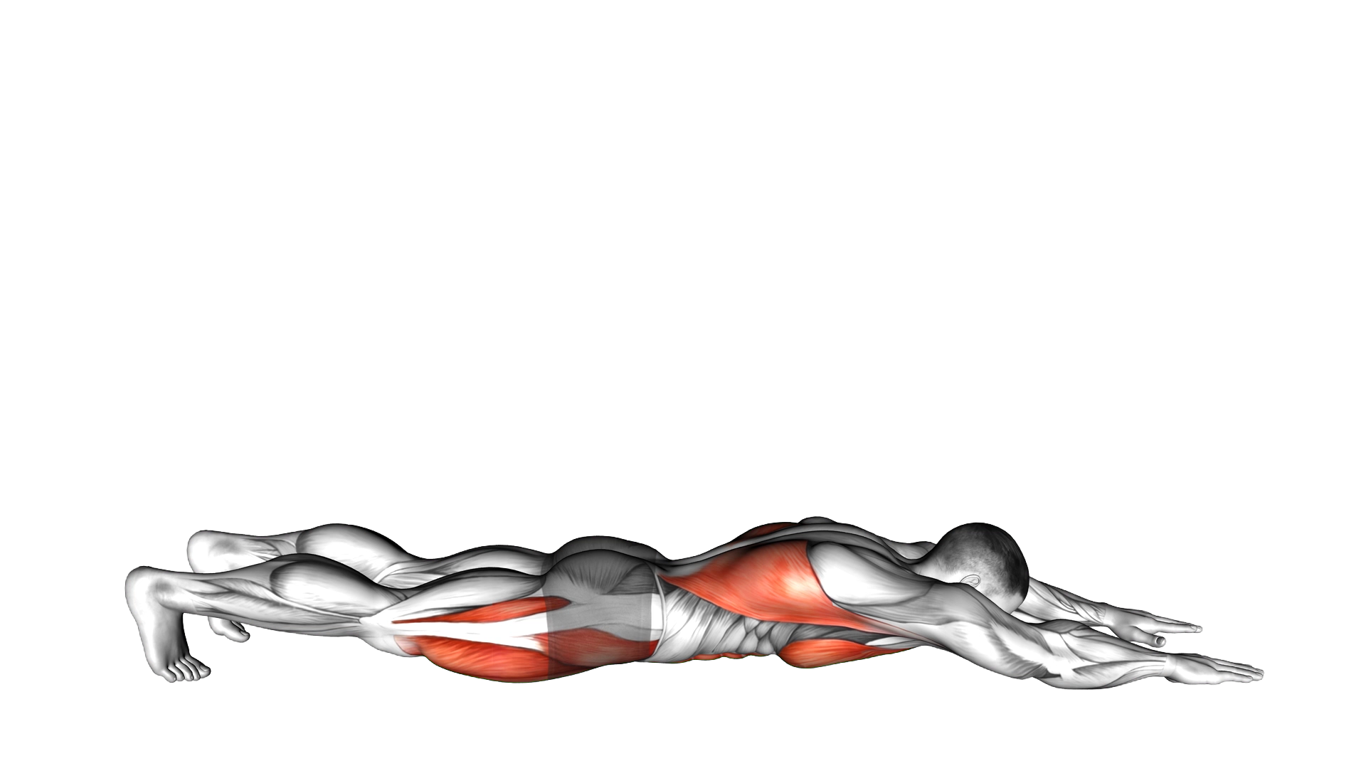Superman Push up exercise demonstration