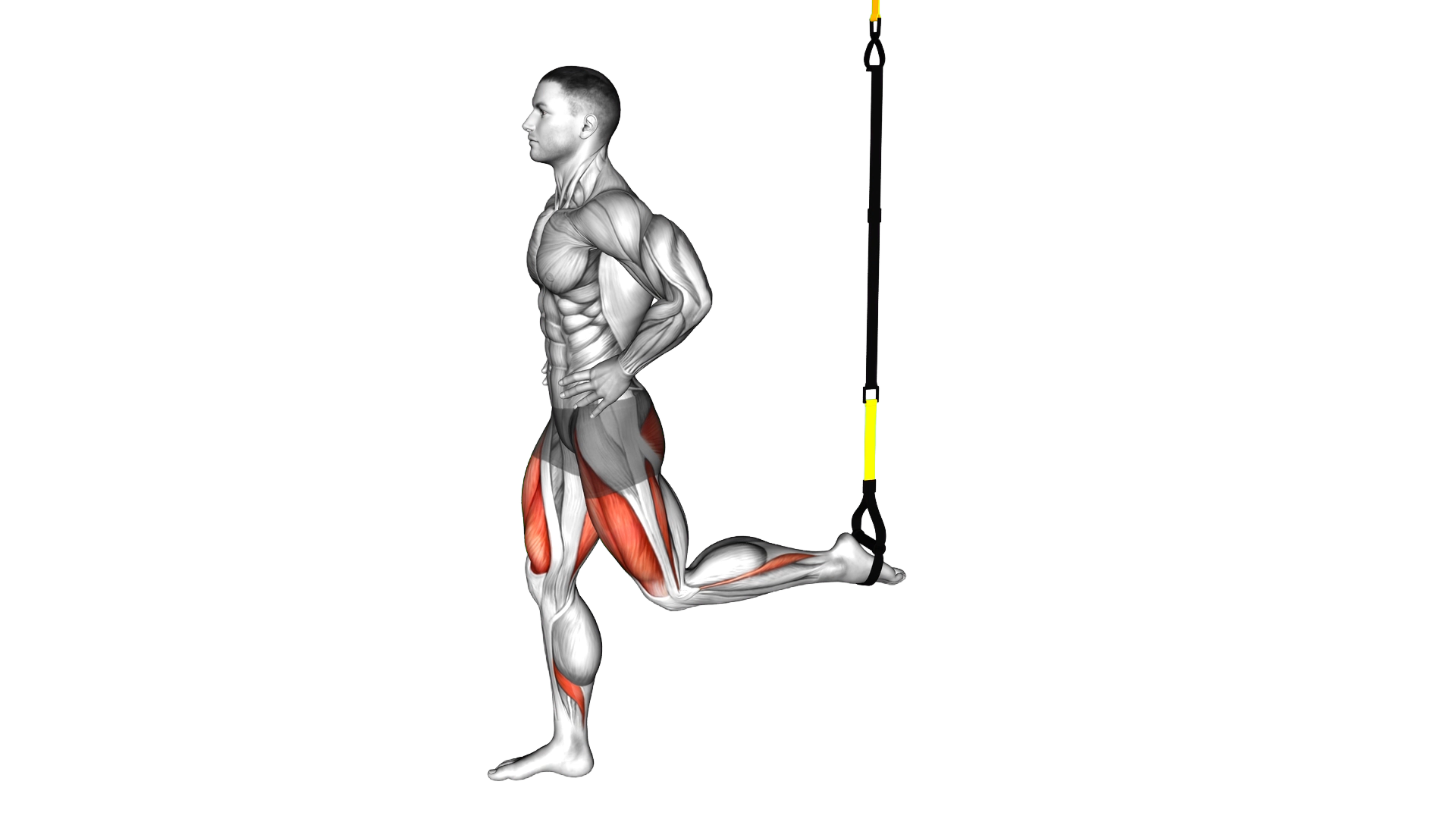 Suspended Split Squat exercise demonstration