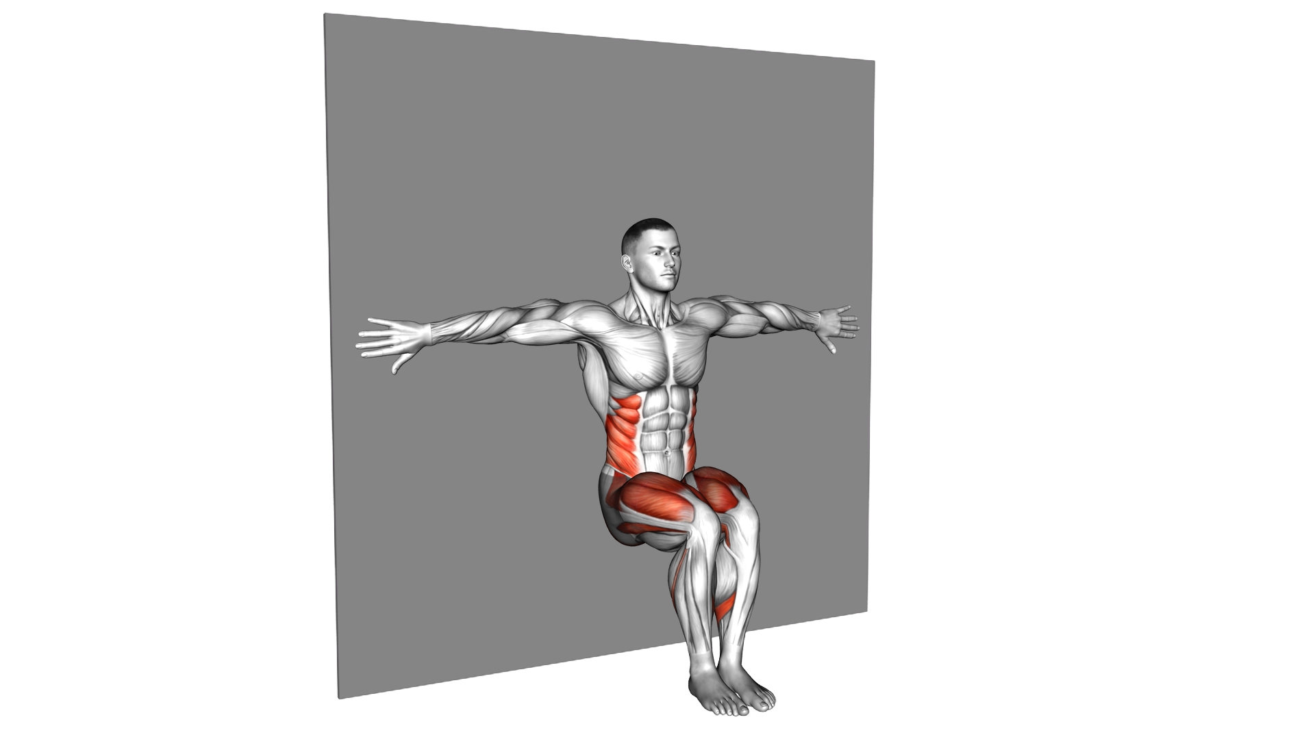 Toe Touch Sit (wall) exercise demonstration