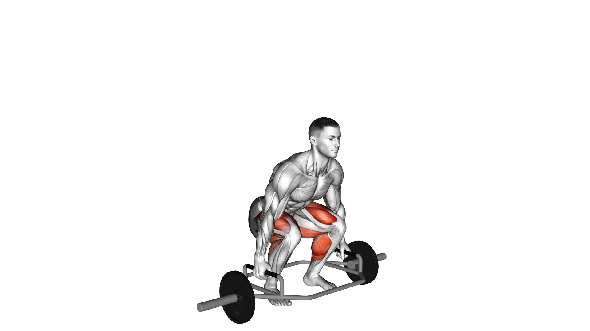 Trap Bar Deadlift exercise demonstration