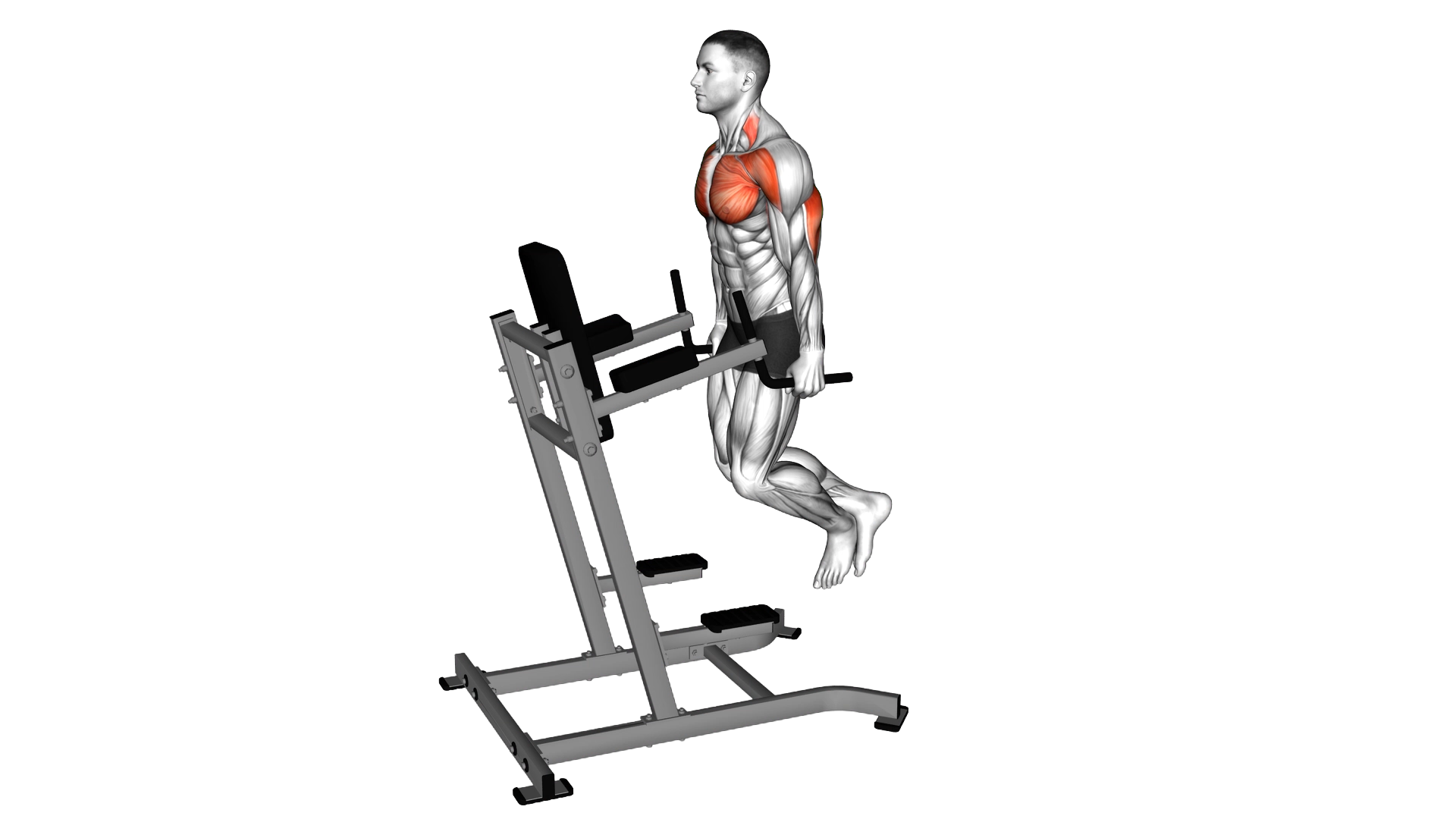 Triceps Dip exercise thumbnail