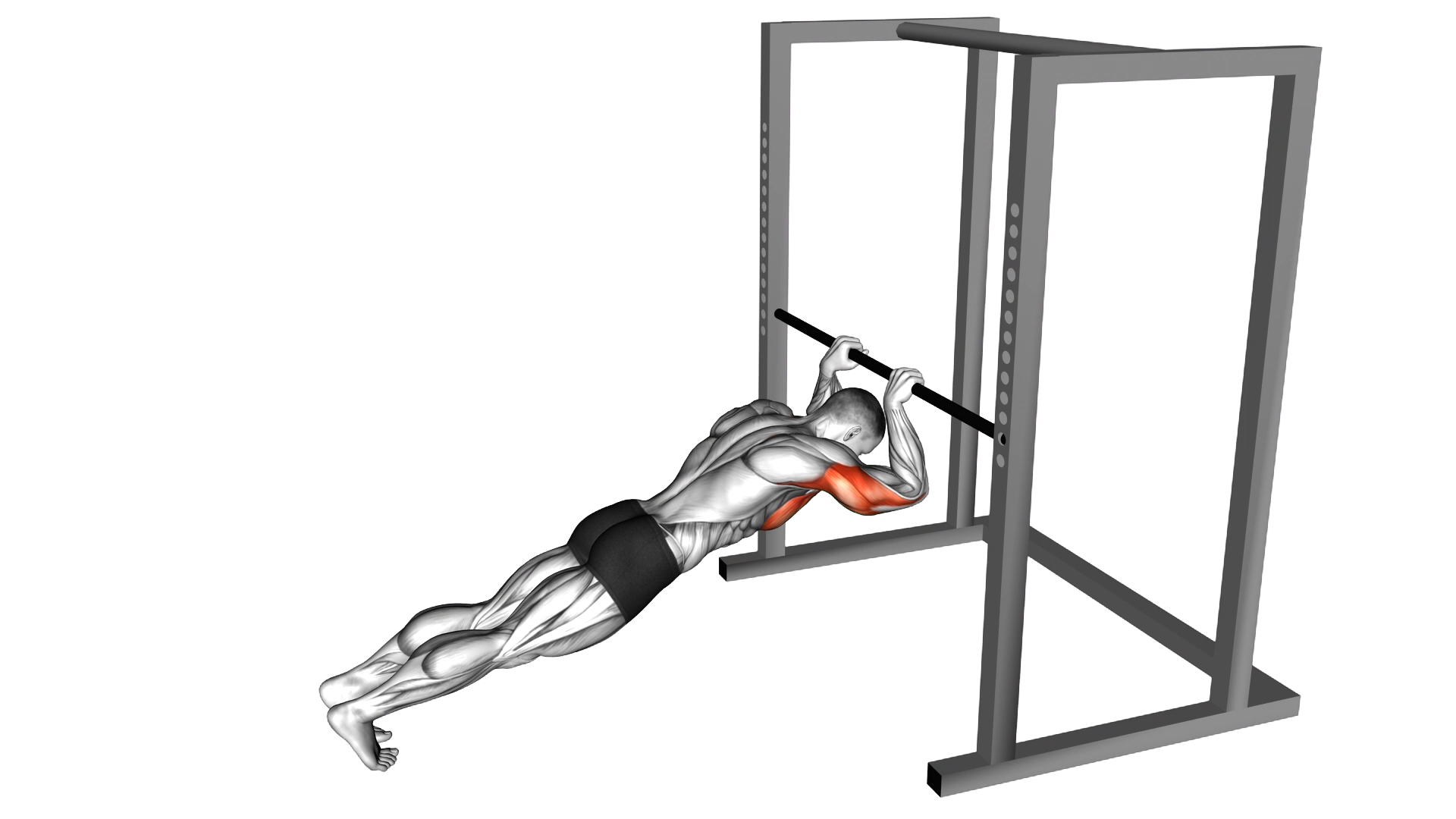 Triceps Press exercise demonstration