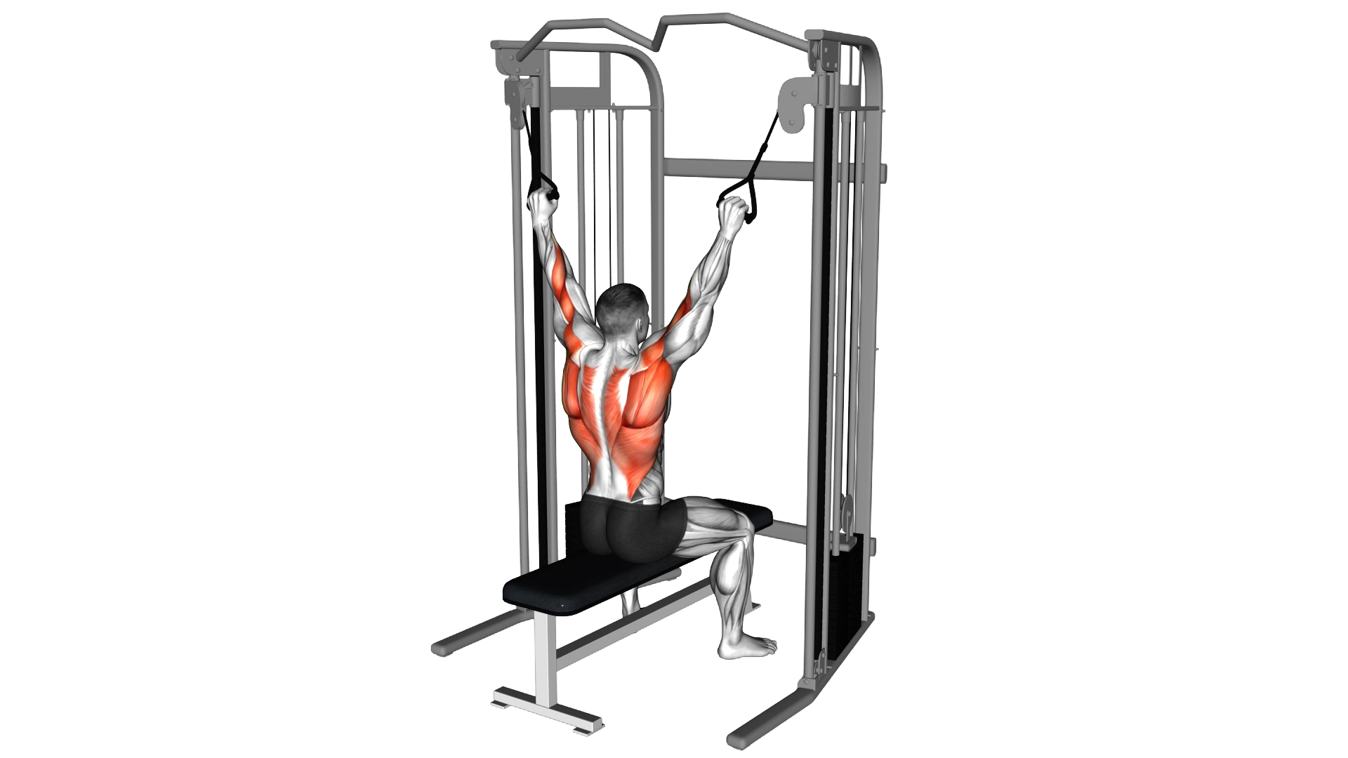 Cable Twin Handle Parallel Grip Lat Pulldown exercise demonstration