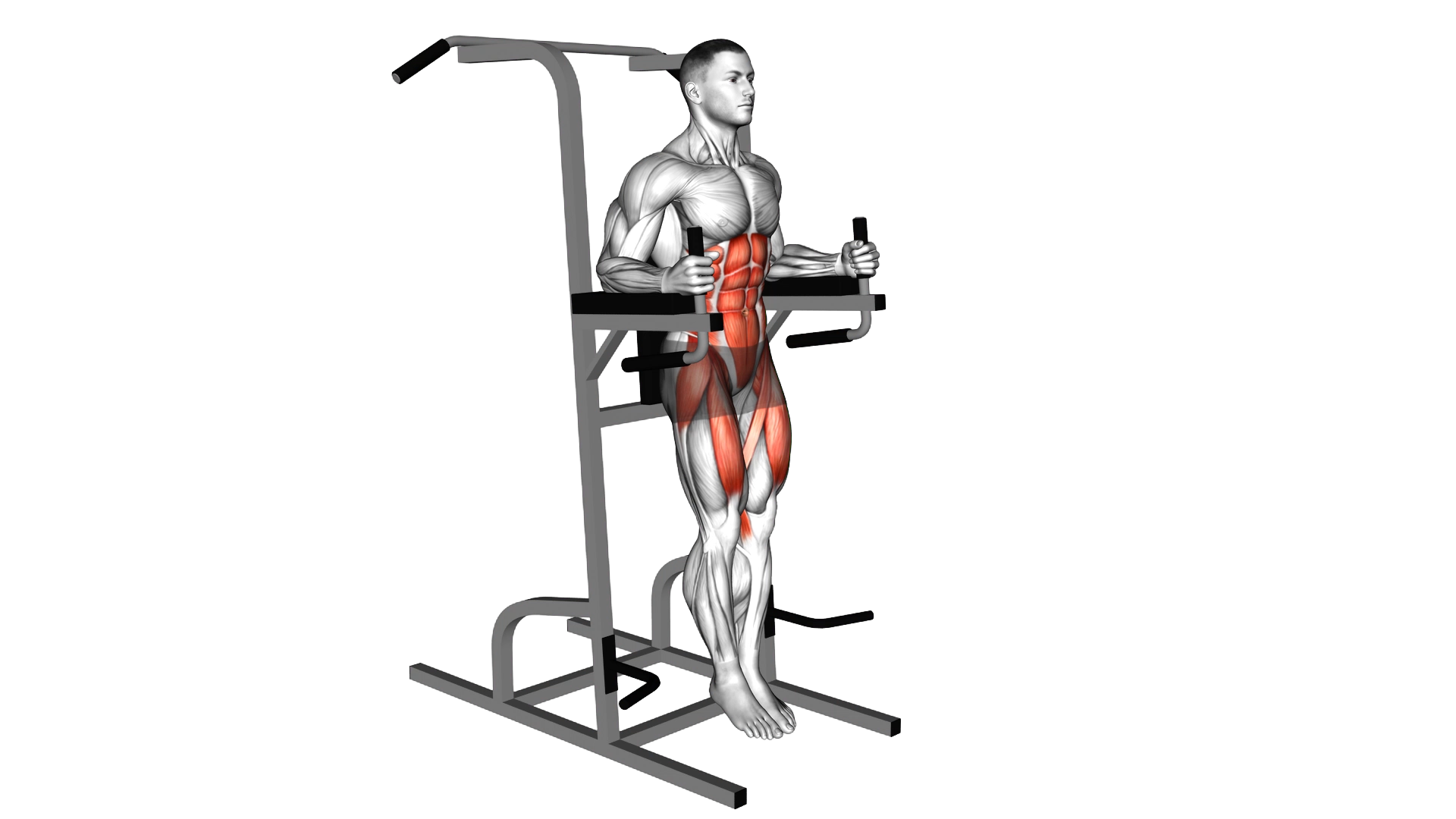 Vertical Leg Raise (on parallel bars) exercise demonstration