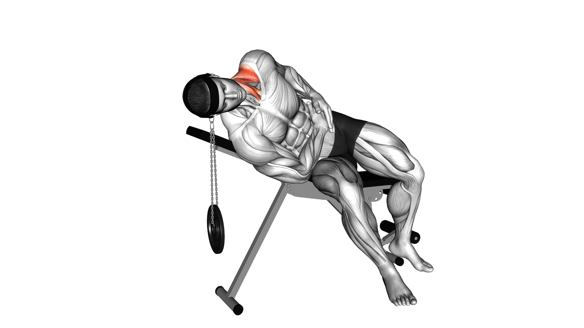 Weighted Lying Side Lifting Head (with head harnes exercise demonstration