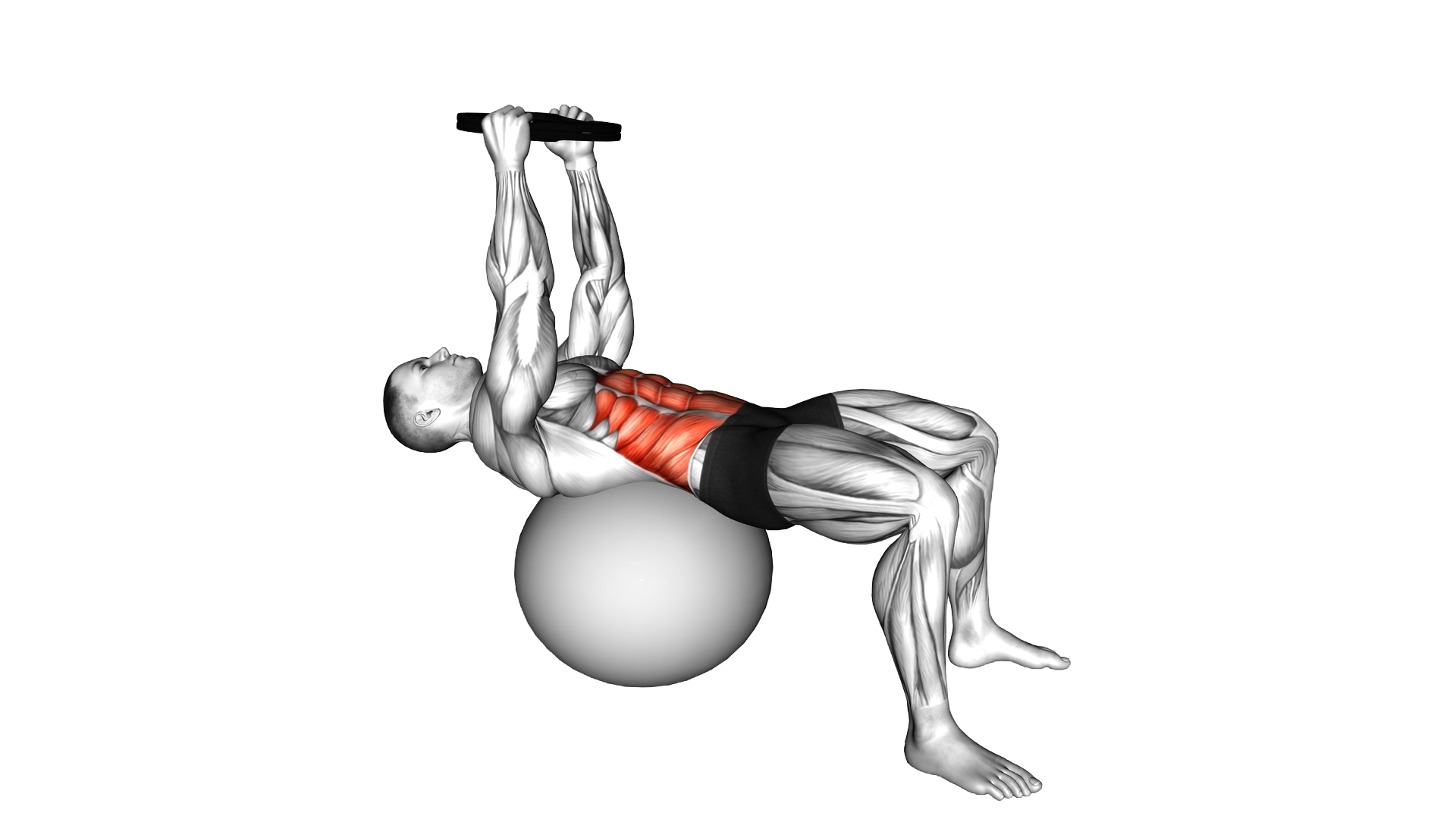 Weighted Overhead Crunch (on stability ball) exercise demonstration