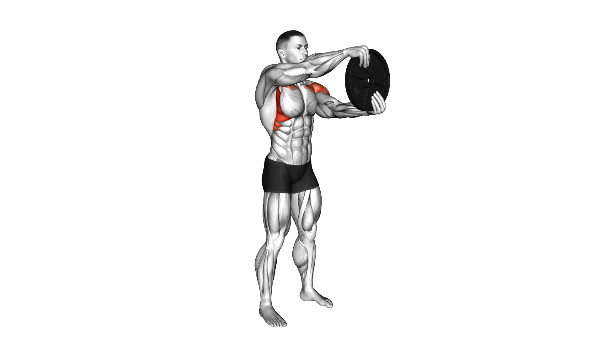 Weighted Round Arm exercise demonstration