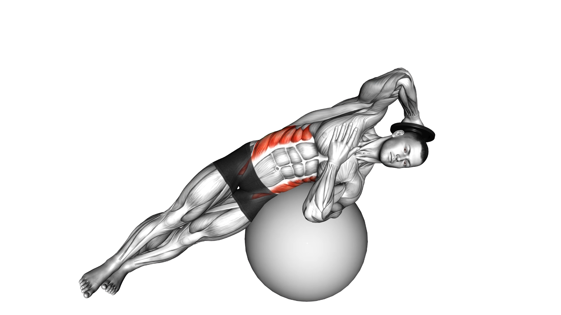 Weighted Side Bend (on stability ball) exercise demonstration