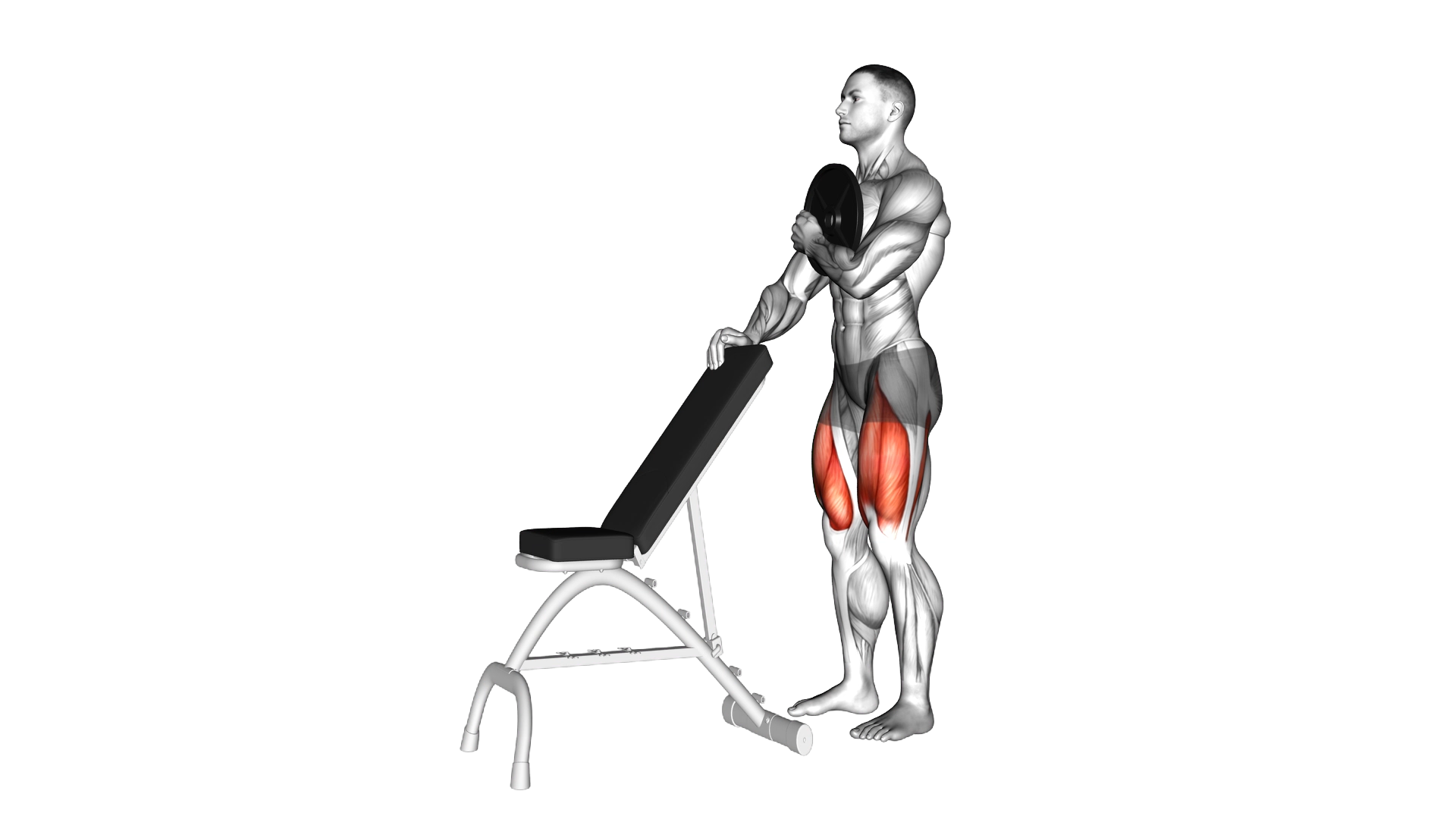 Weighted Sissy Squat exercise demonstration