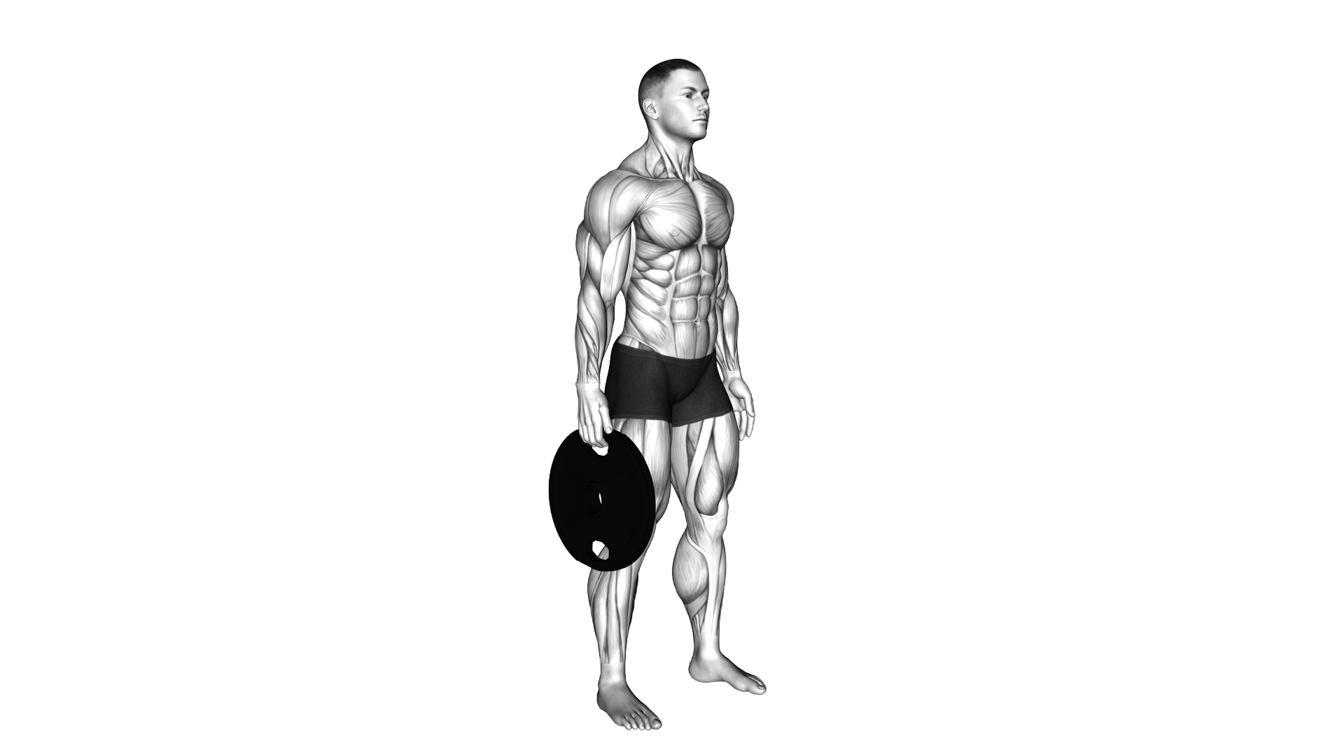 Weighted Standing Hand Squeeze exercise demonstration