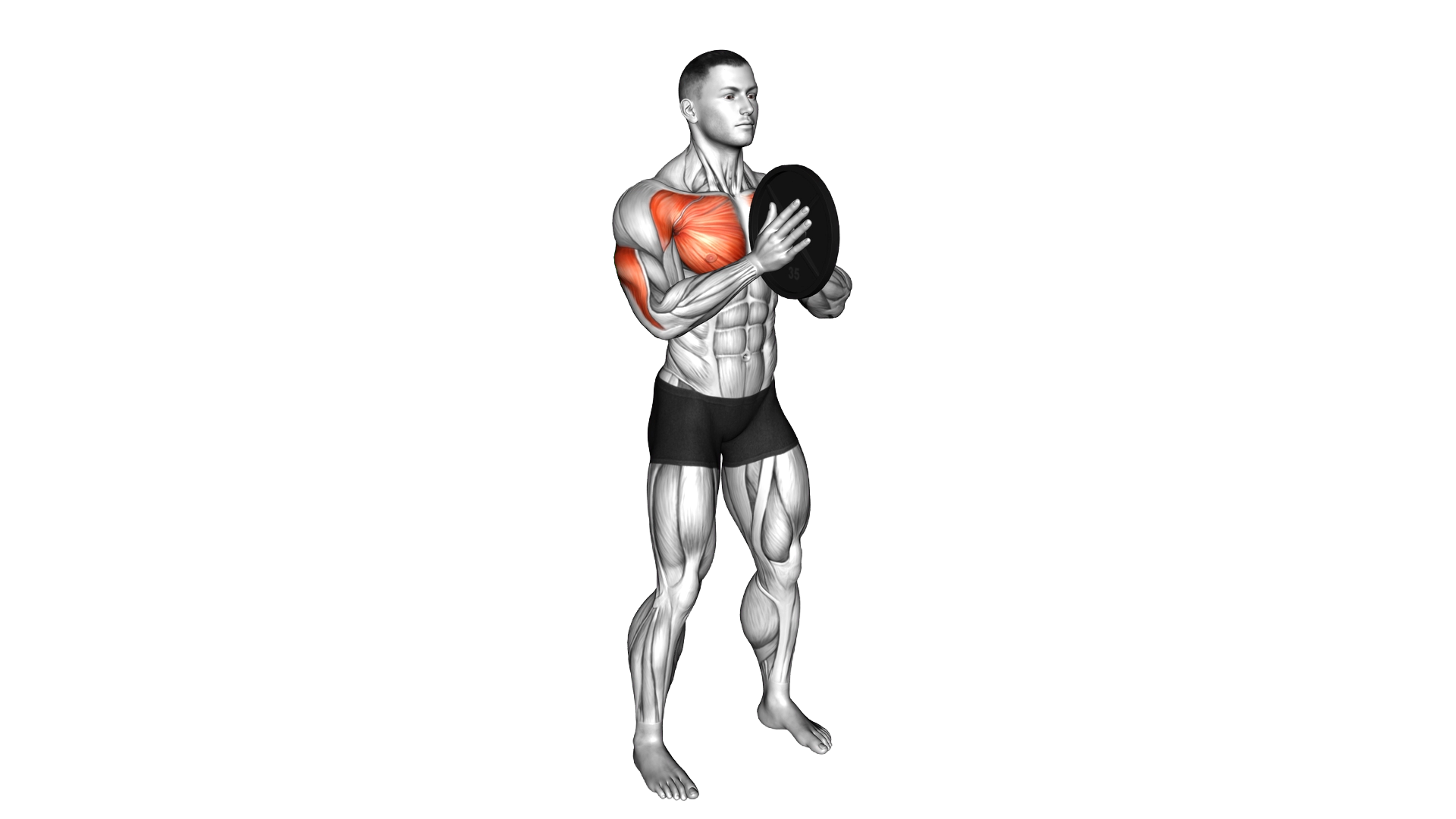 Weighted Svend Press exercise demonstration
