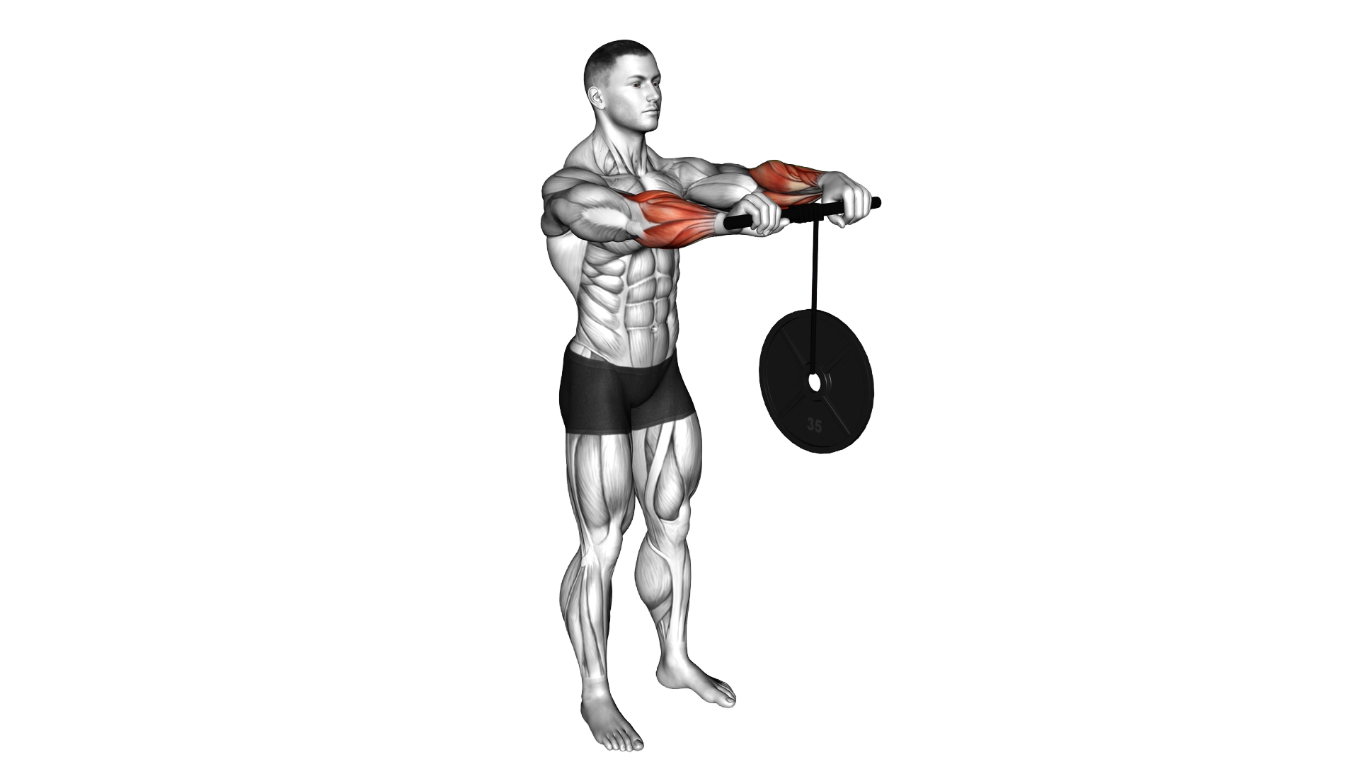 Wrist Roller exercise thumbnail