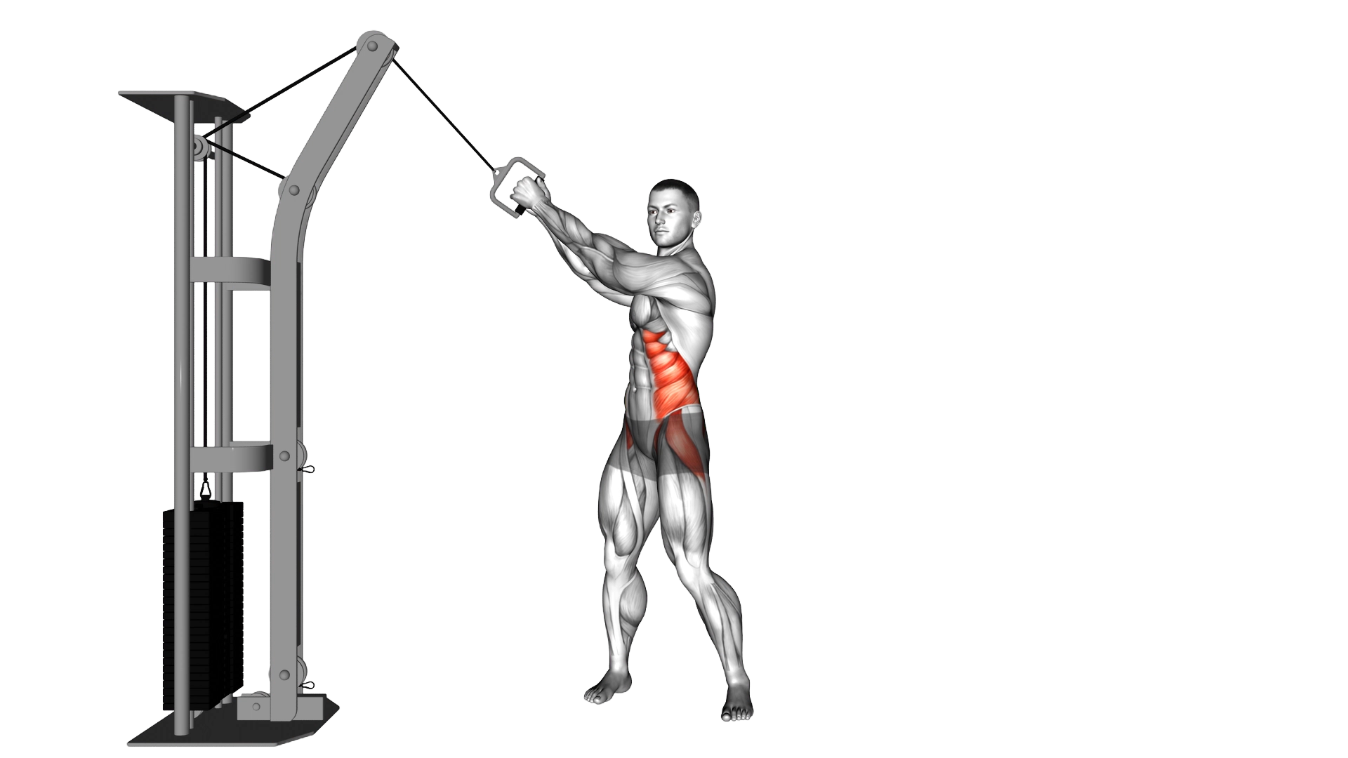 Cable twist (up down) exercise demonstration