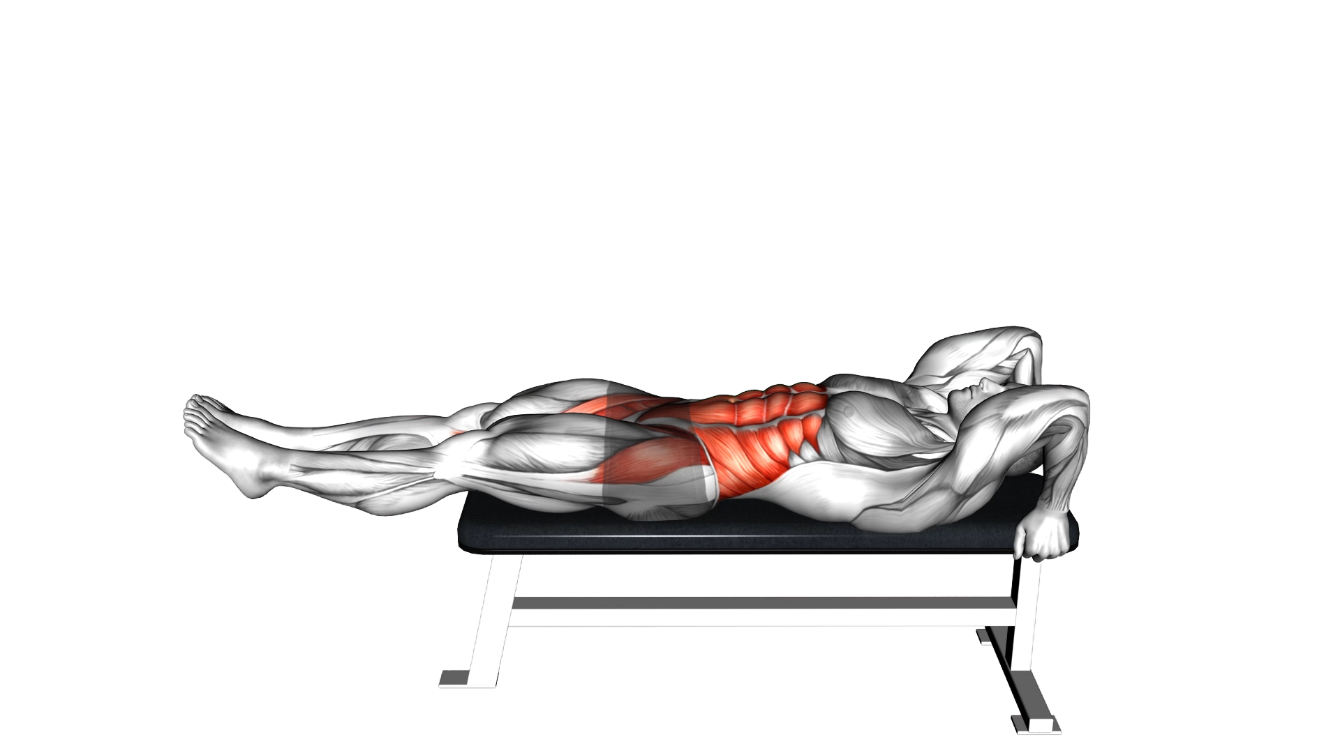 Lying leg hip raise exercise demonstration
