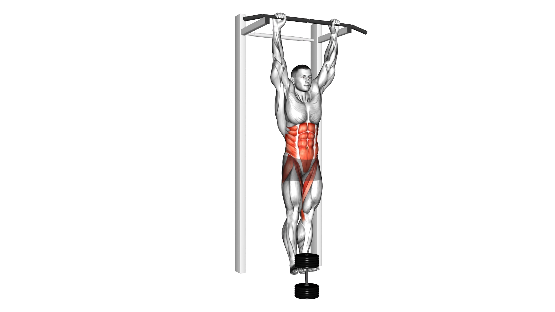 Weighted Hanging leg hip raise exercise demonstration