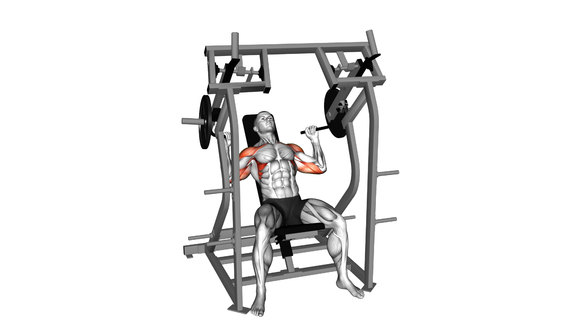 Lever Shoulder Press (plate loaded) exercise demonstration