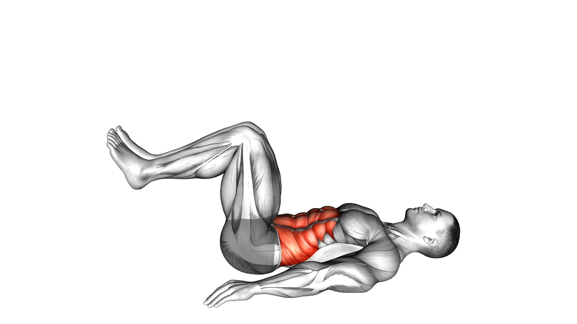 Reverse Crunch m exercise demonstration