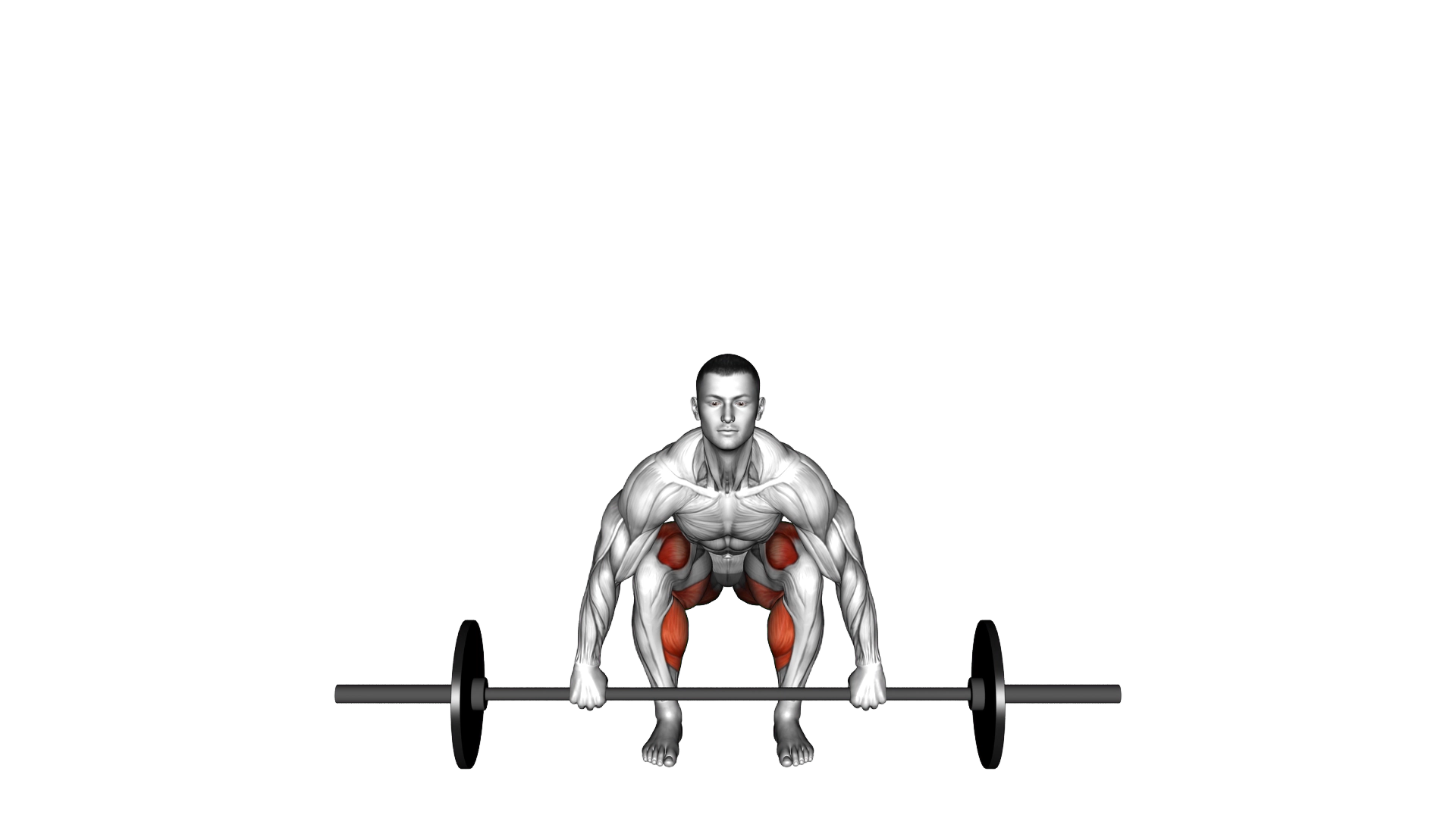 Barbell Deadlift exercise thumbnail