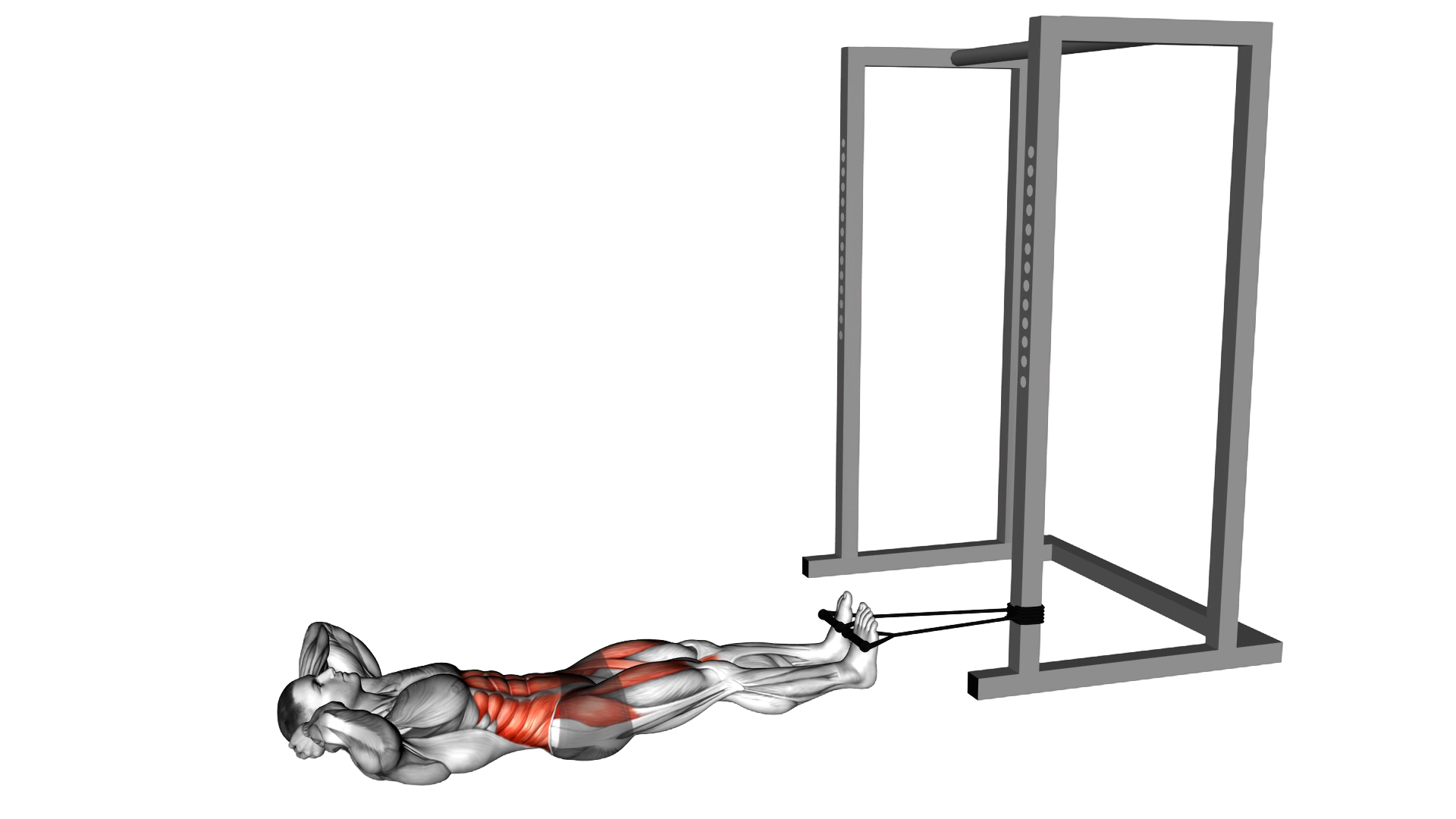 Band bicycle crunch exercise demonstration