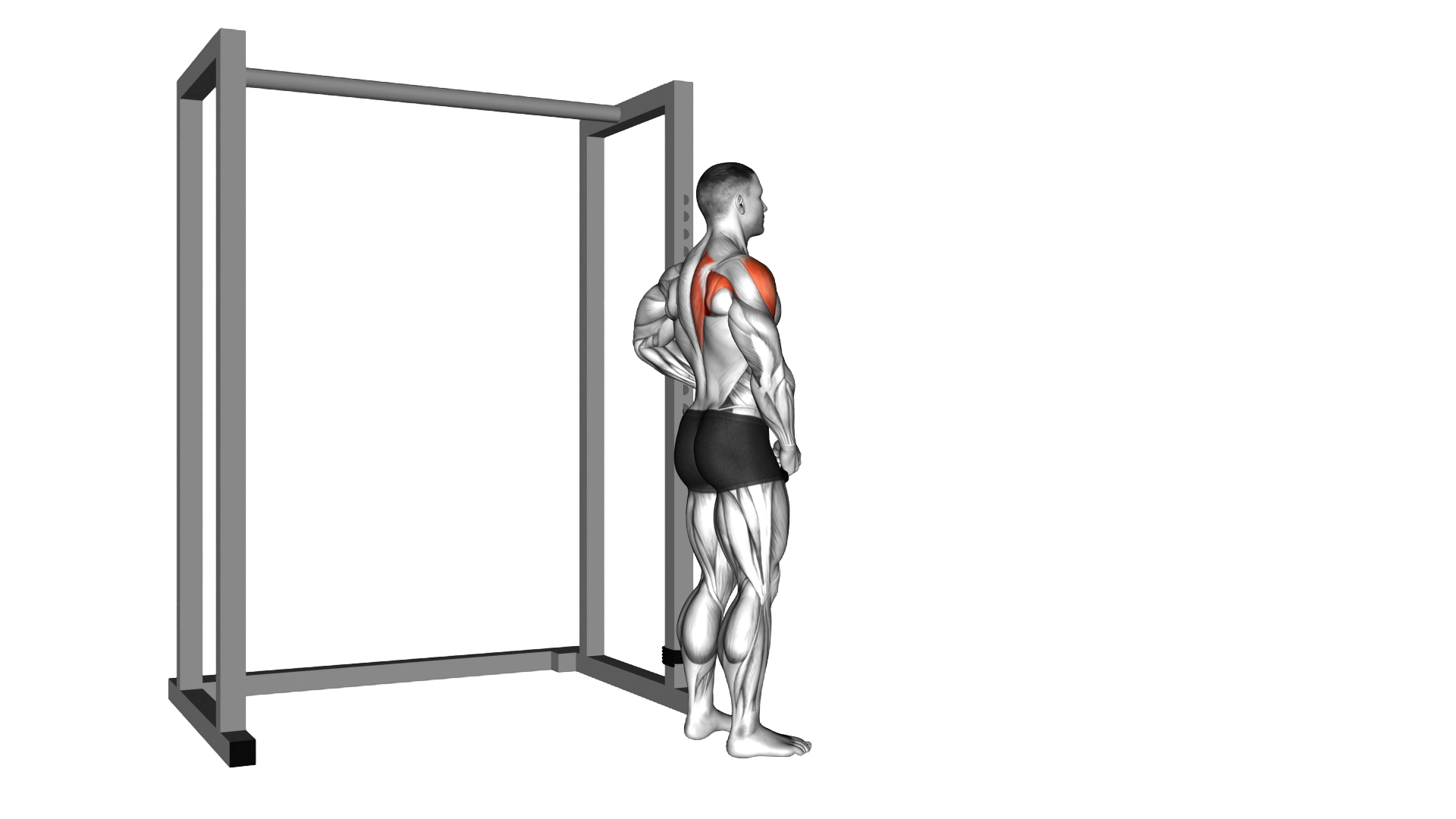 Band front lateral raise exercise demonstration