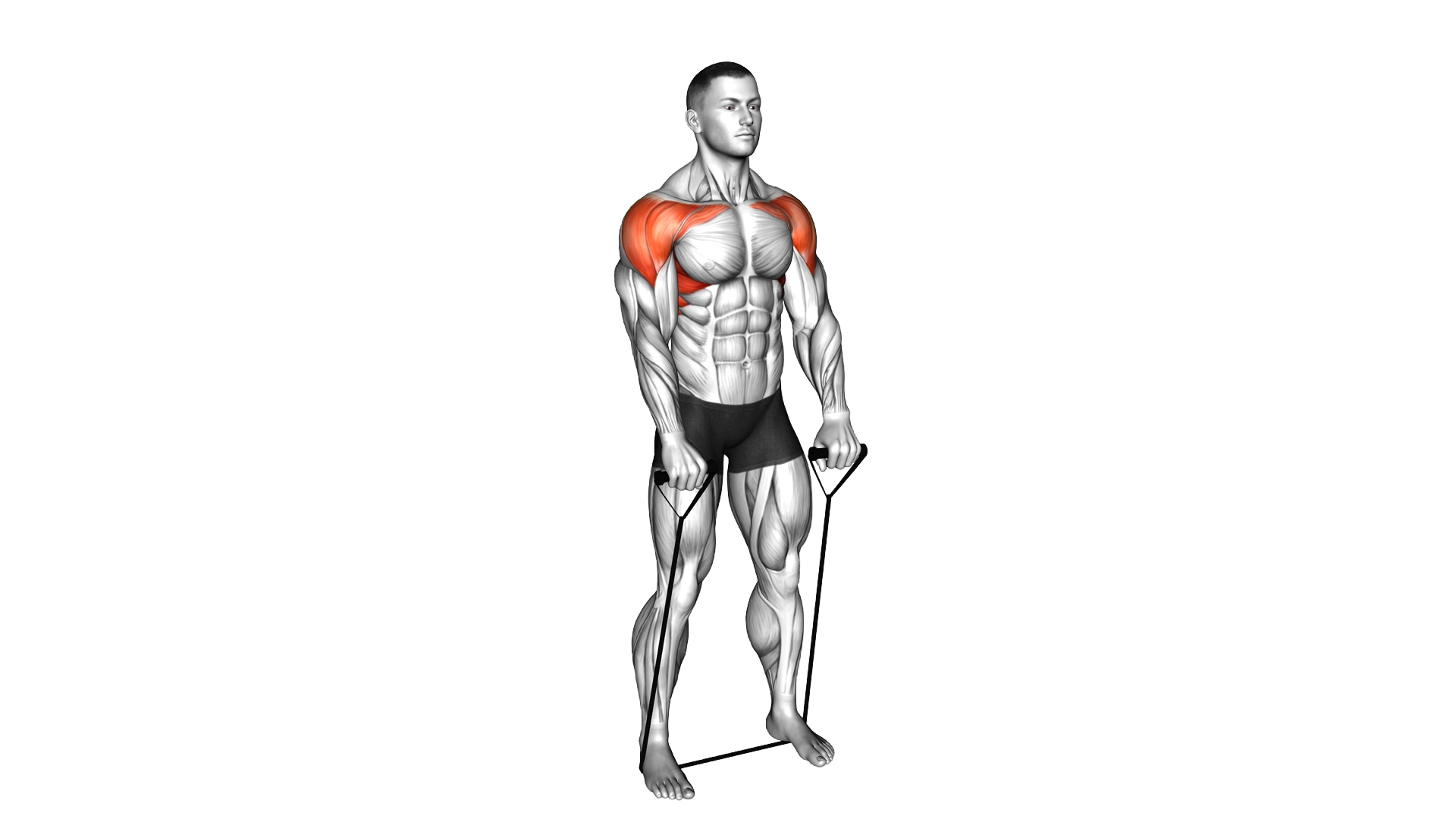 Band front raise exercise demonstration