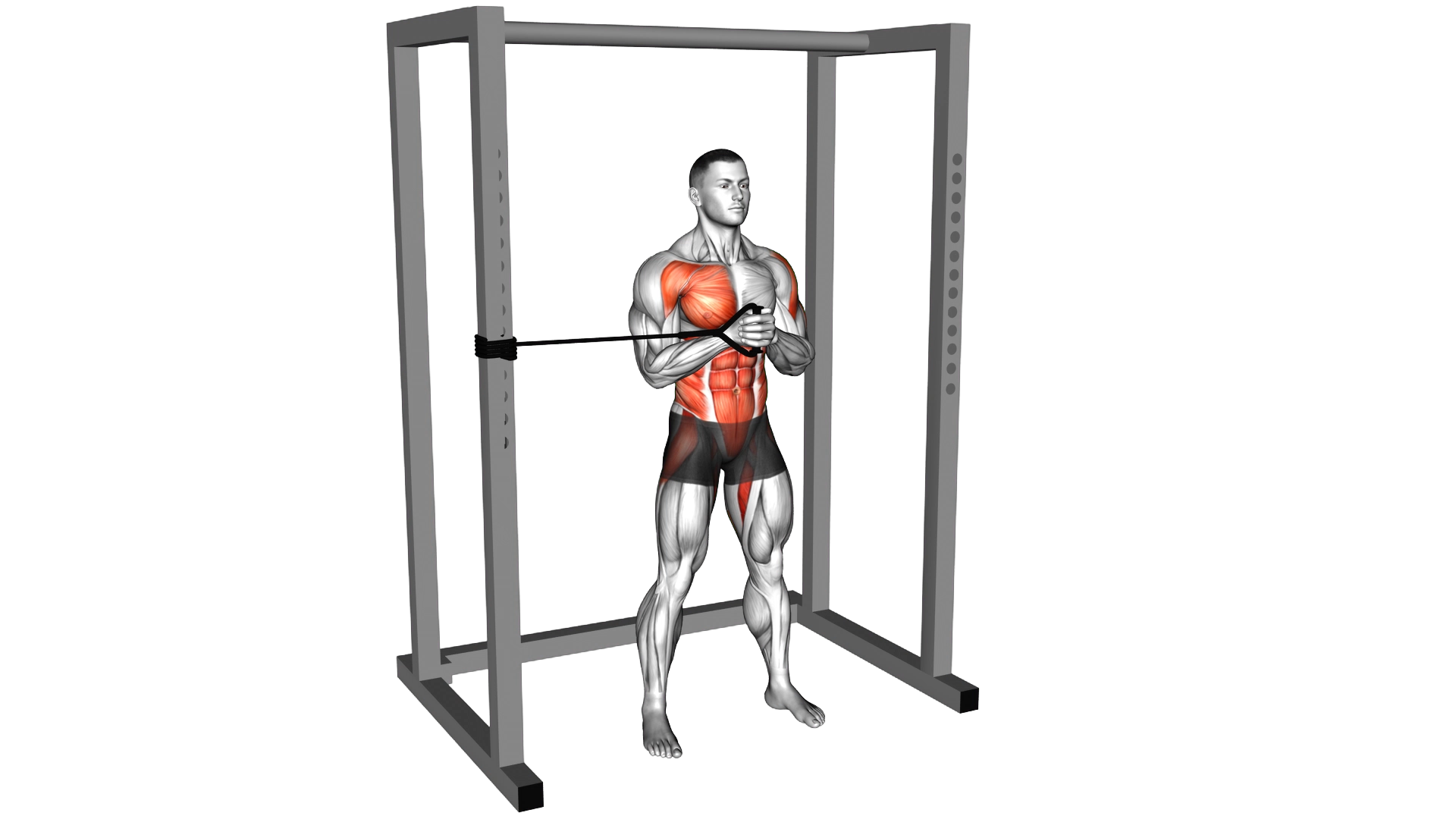 Band Horizontal Pallof Press exercise demonstration