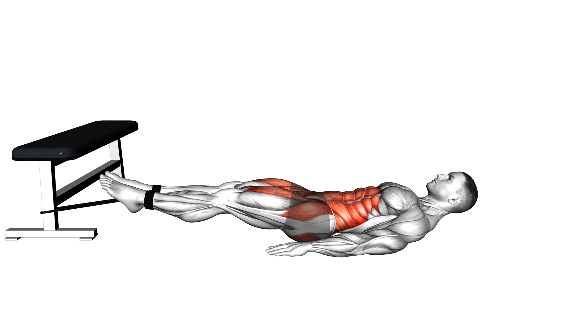 Band Jackknife Sit Up exercise demonstration