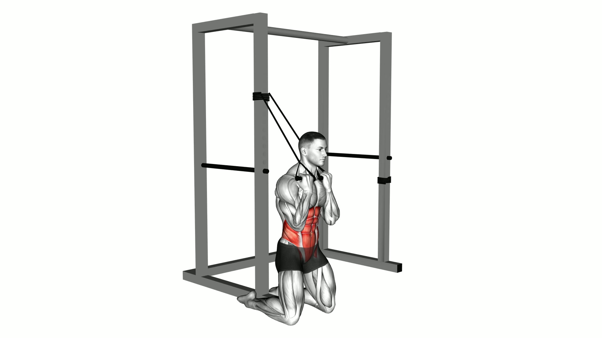 Band Kneeling Twisting Crunch exercise demonstration