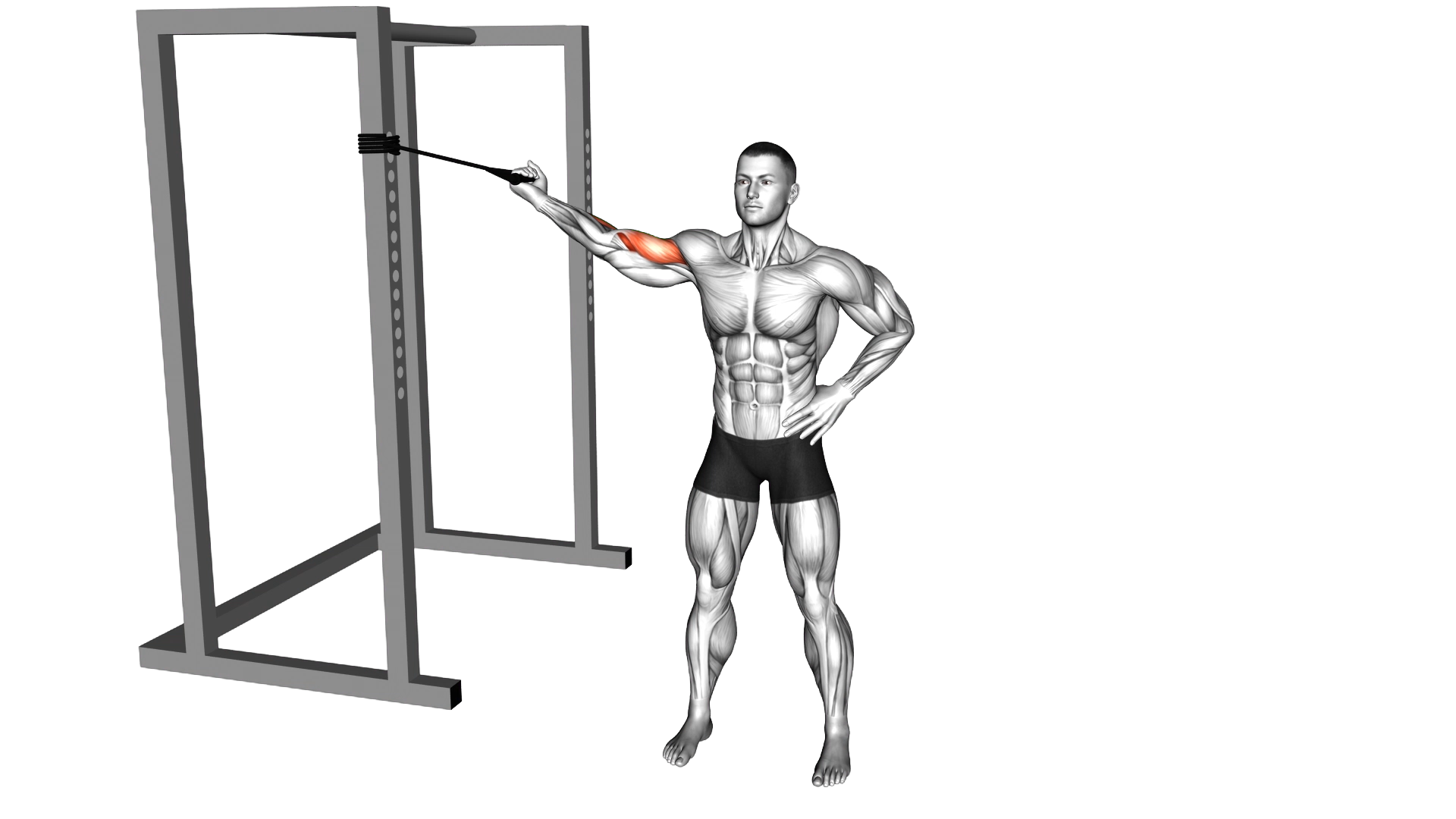 Band One Arm Overhead Biceps Curl exercise demonstration