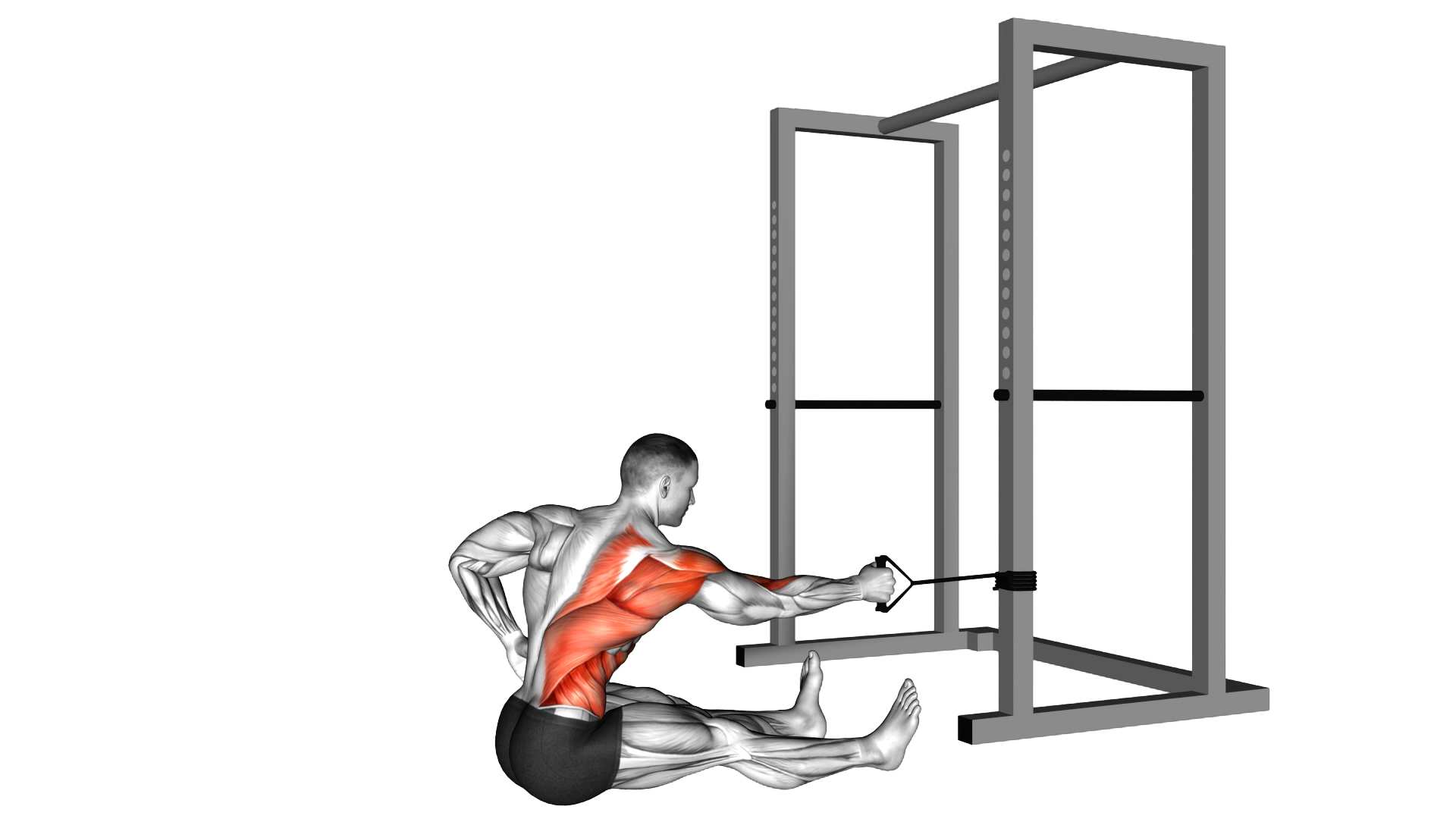 Band One Arm Twisting Seated Row exercise demonstration