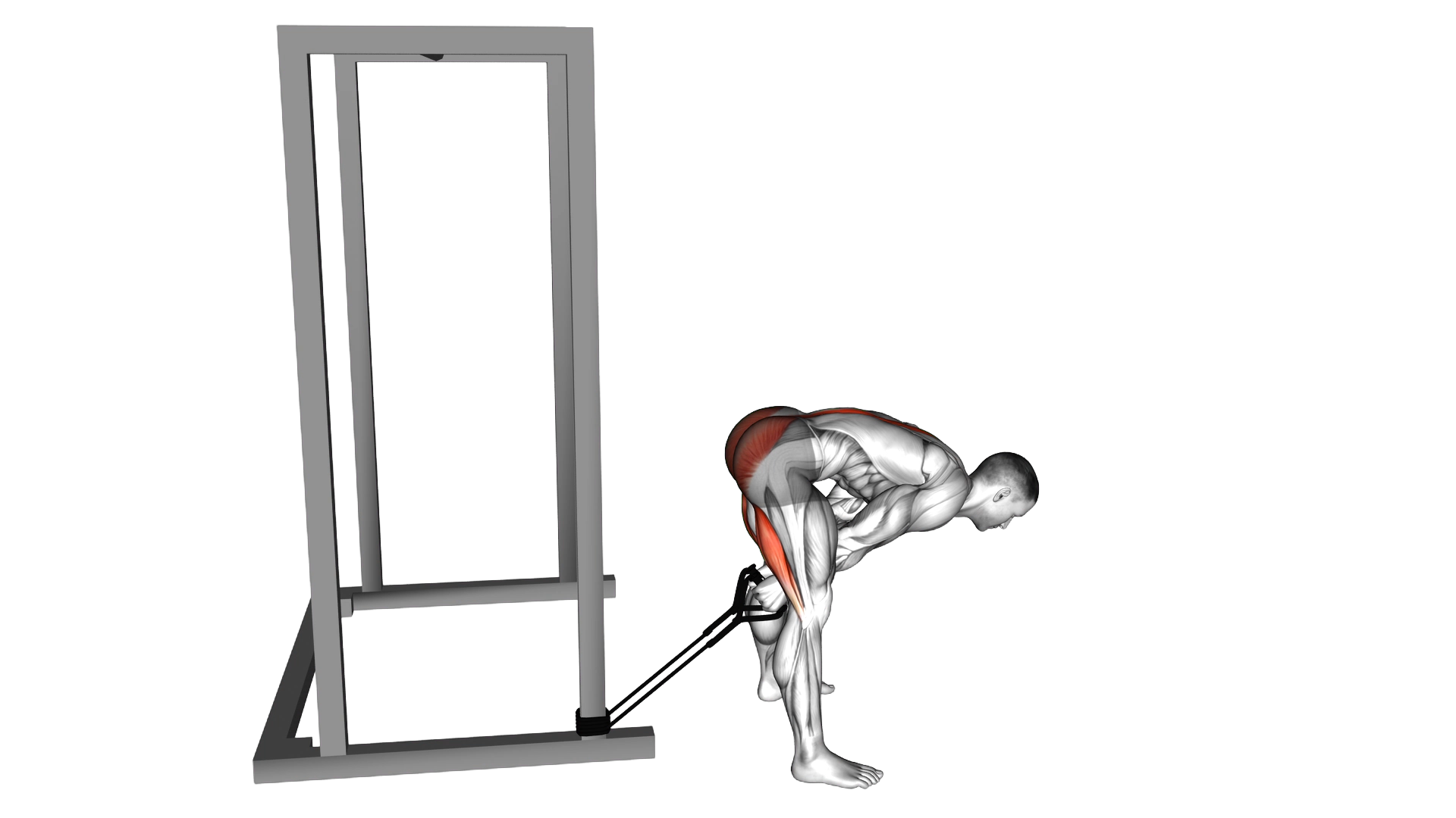 Band pull through exercise demonstration