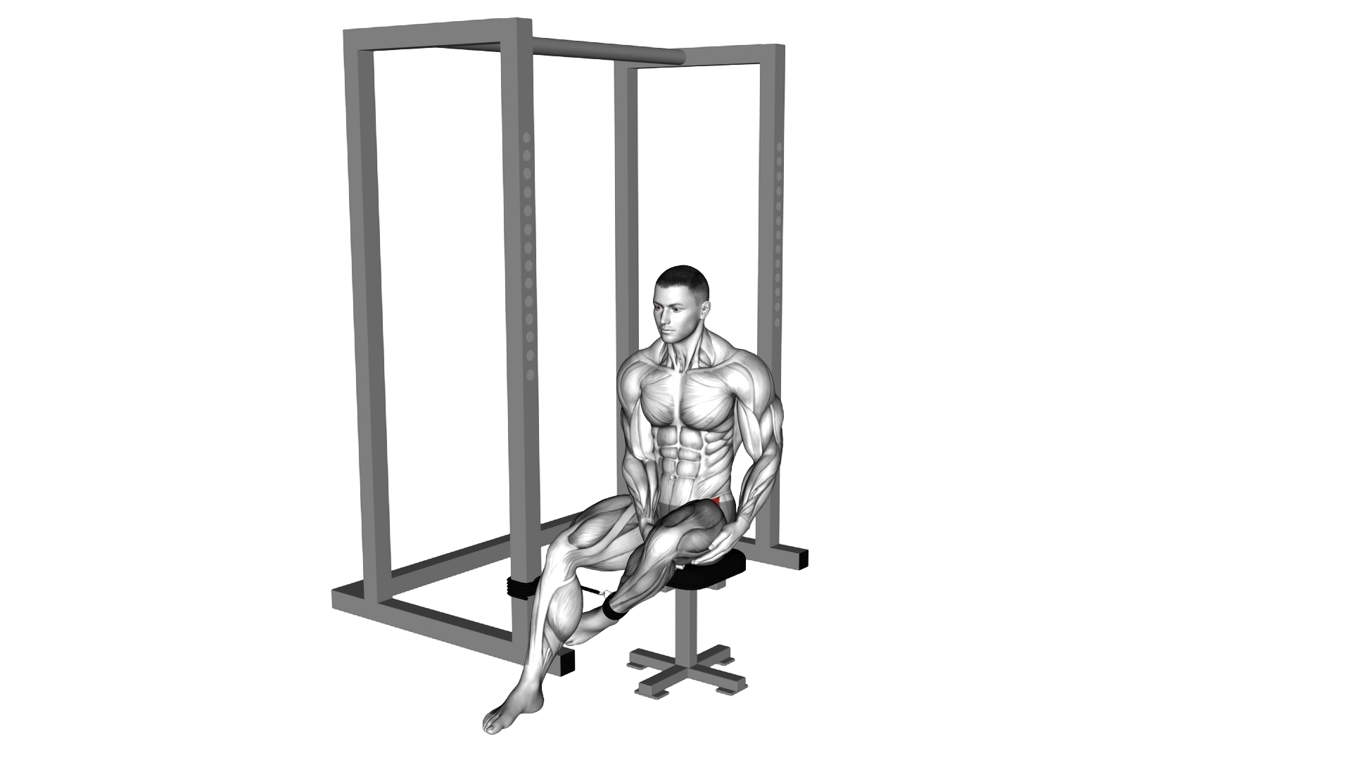 Band Seated Hip Internal Rotation exercise demonstration