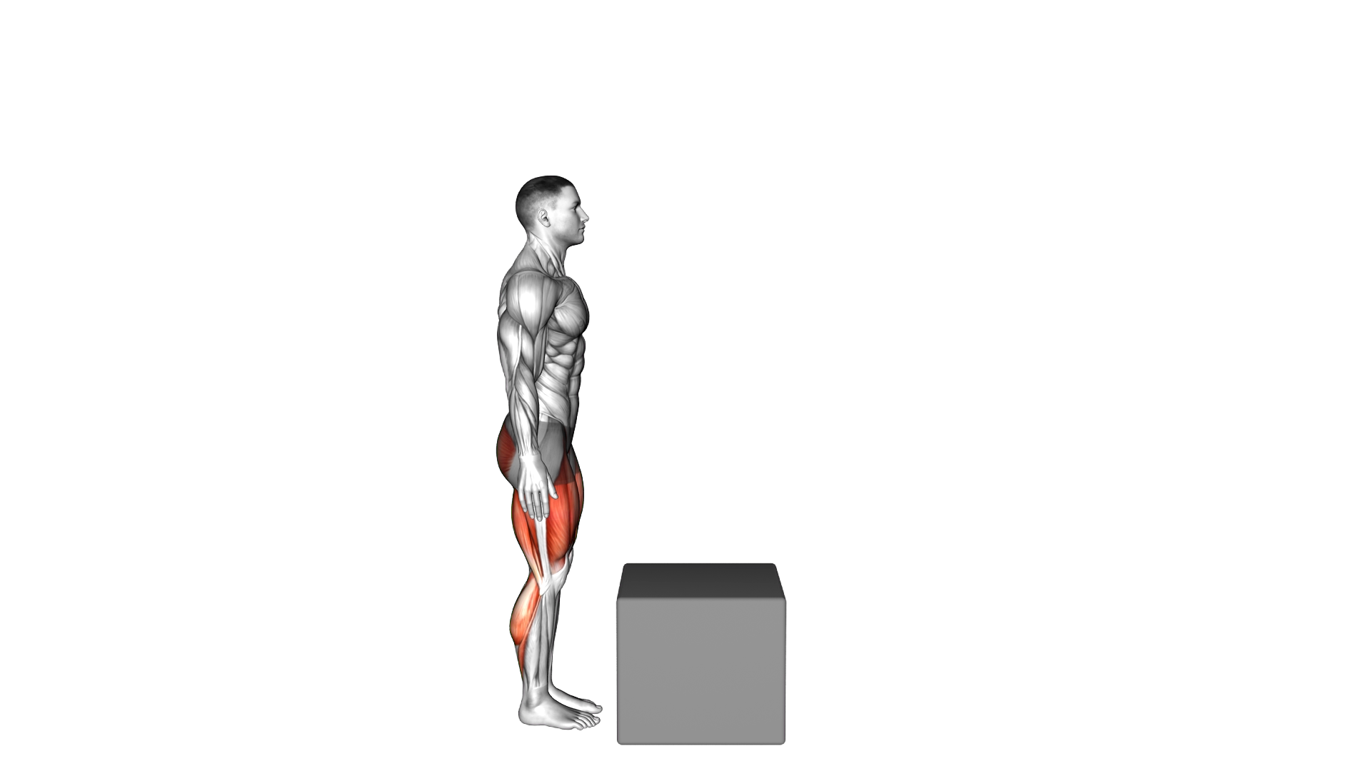 Bodyweight Step over Box exercise thumbnail
