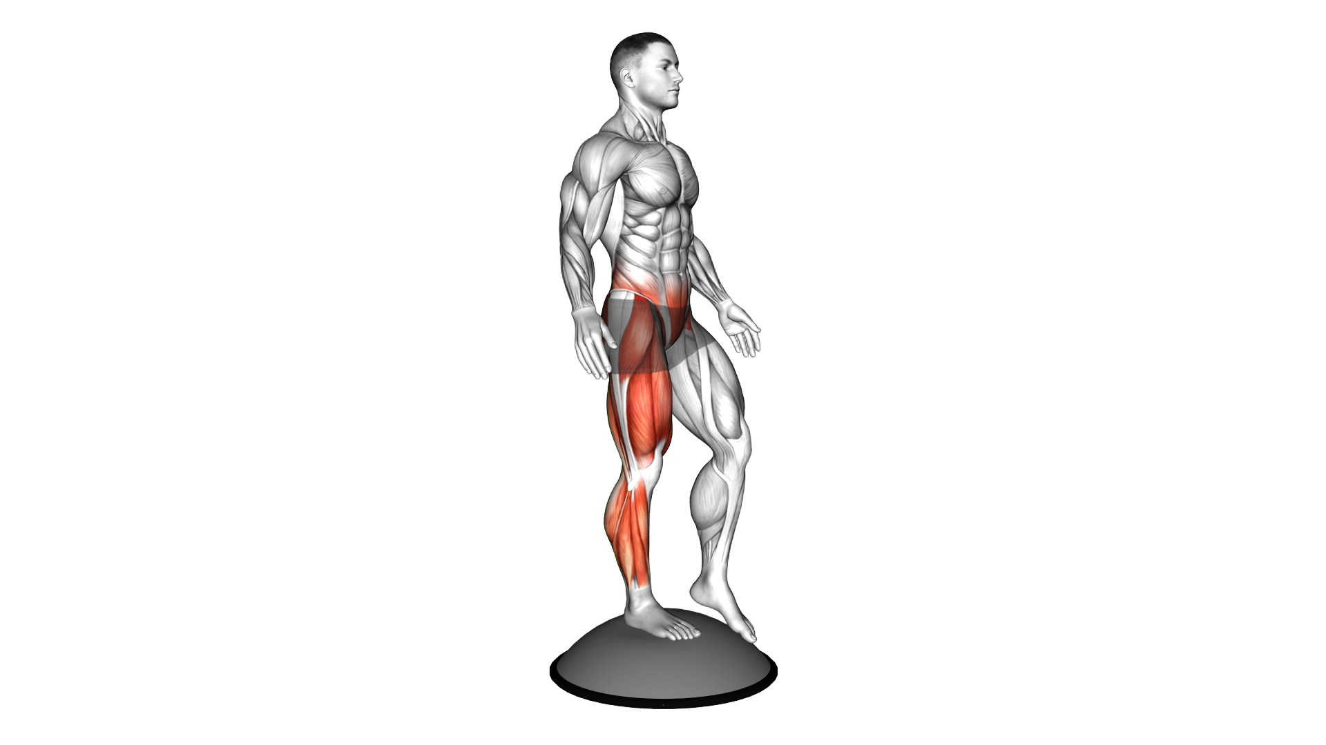 Bosu Ball Balance Single Leg Squat exercise demonstration