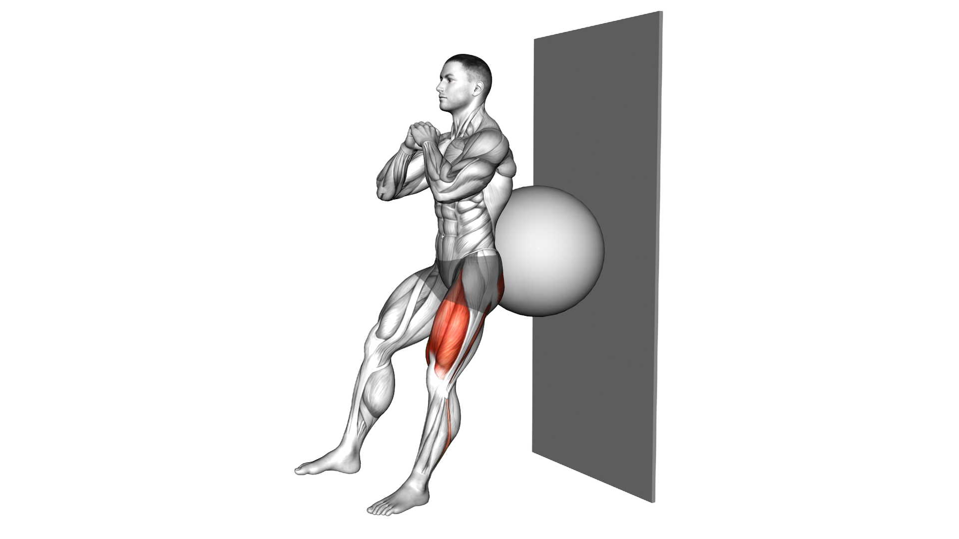 Stability Ball Isometric Single Leg Squat exercise demonstration